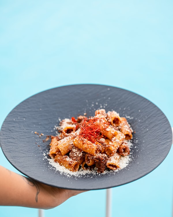 Rigatoni pasta plated with sauce and cheese