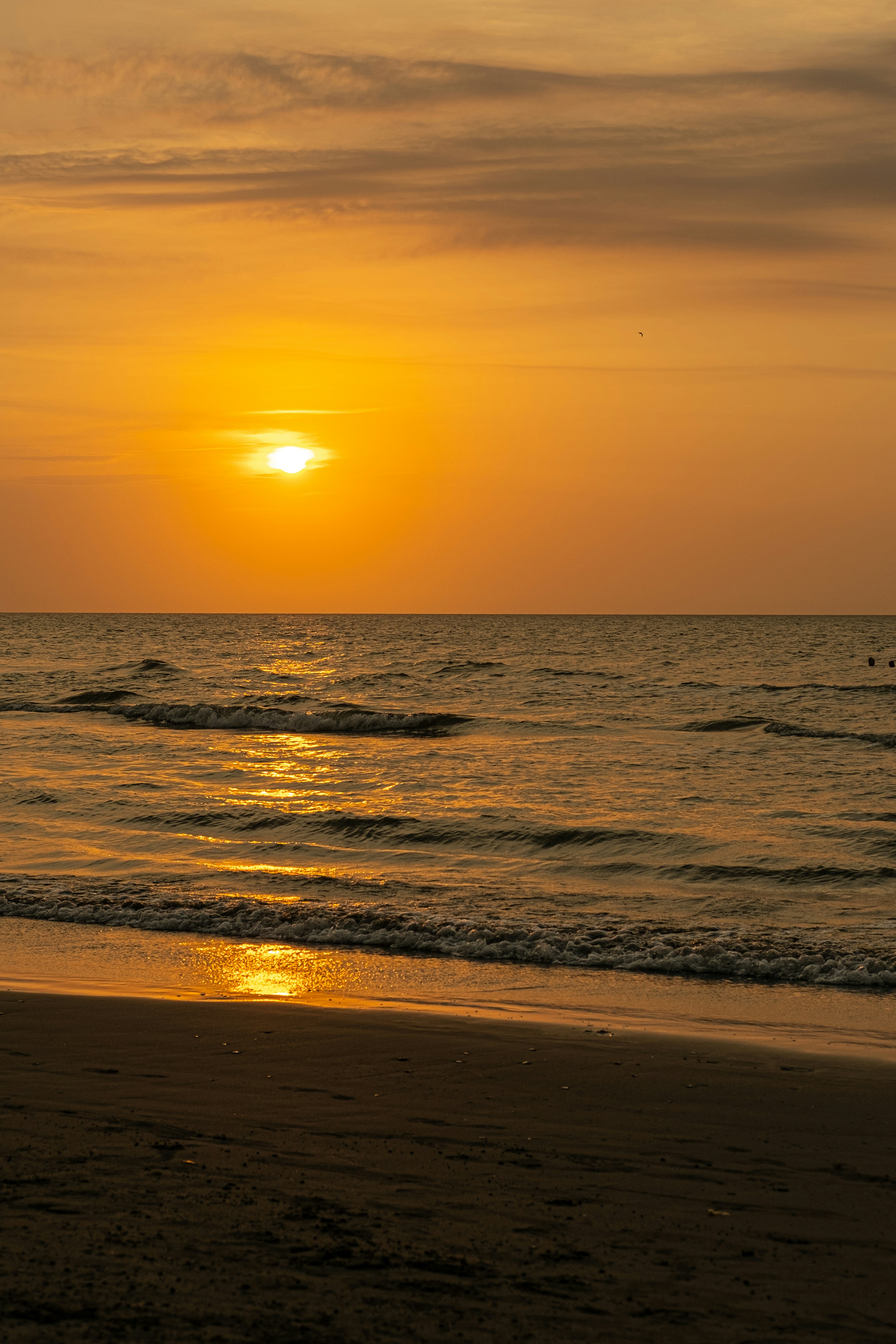 Photo by esmcreativo