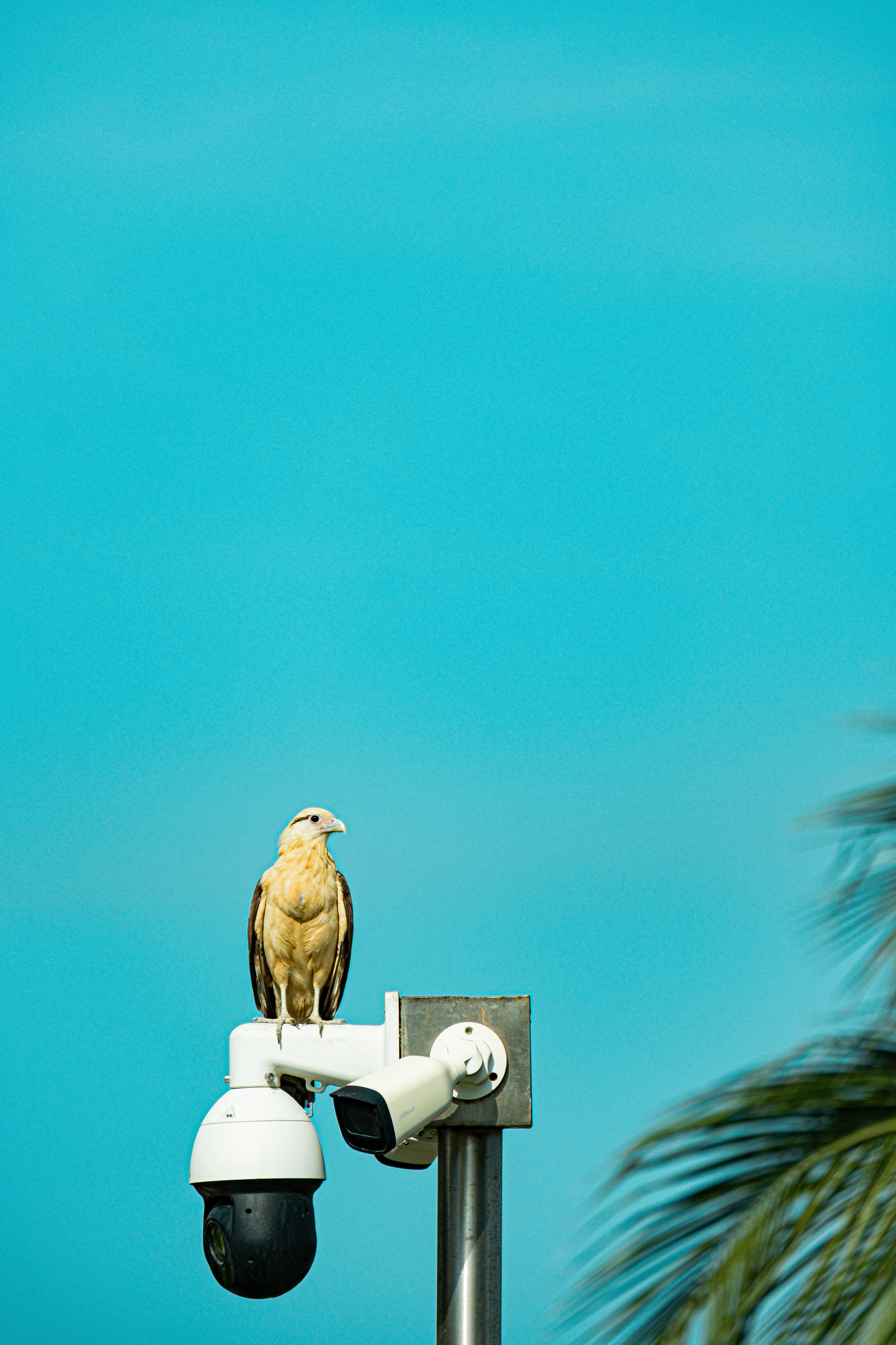 Photo by esmcreativo