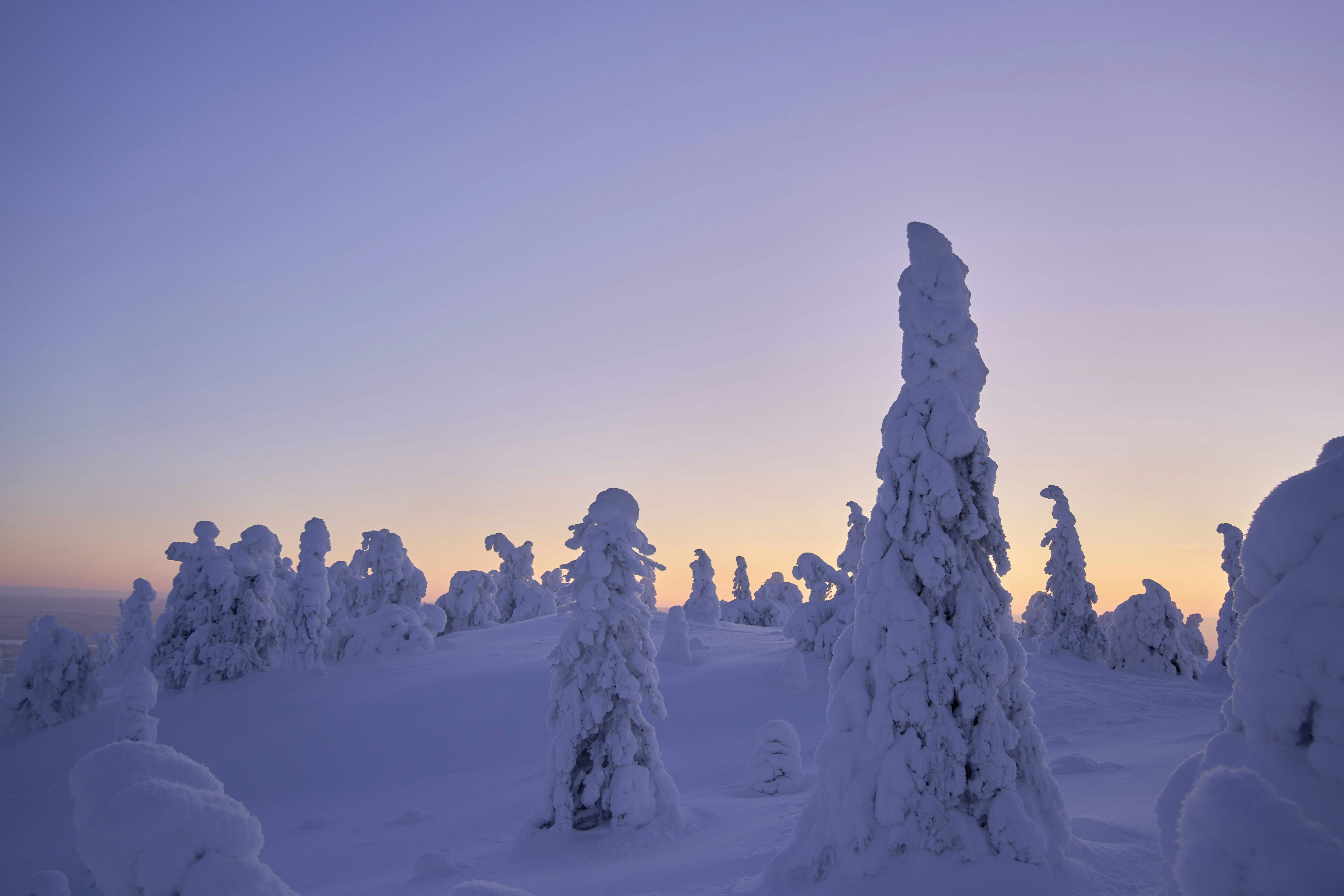 Photo by wolfgang_hasselmann