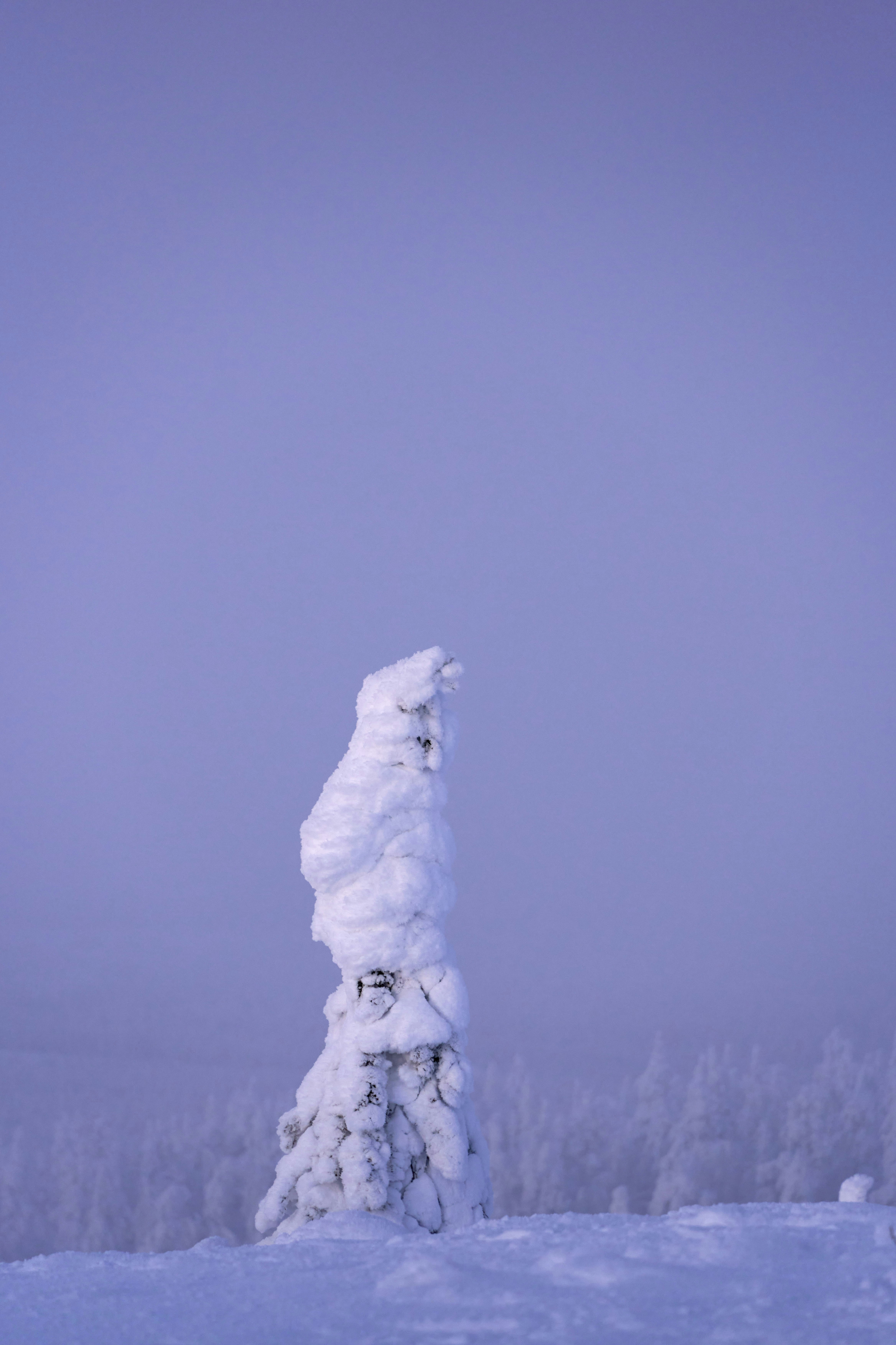 Photo by wolfgang_hasselmann