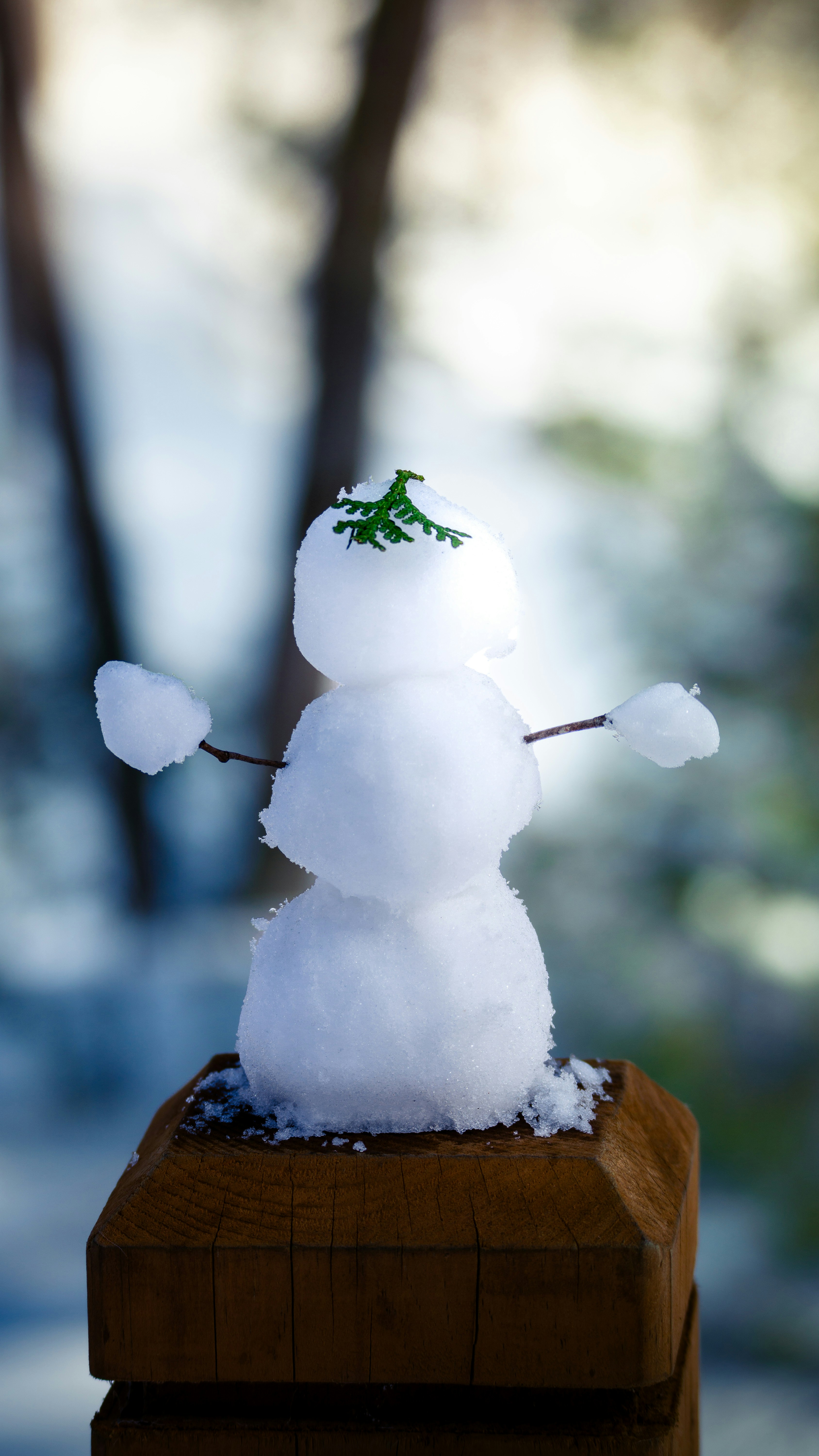 Photo by creative_lens