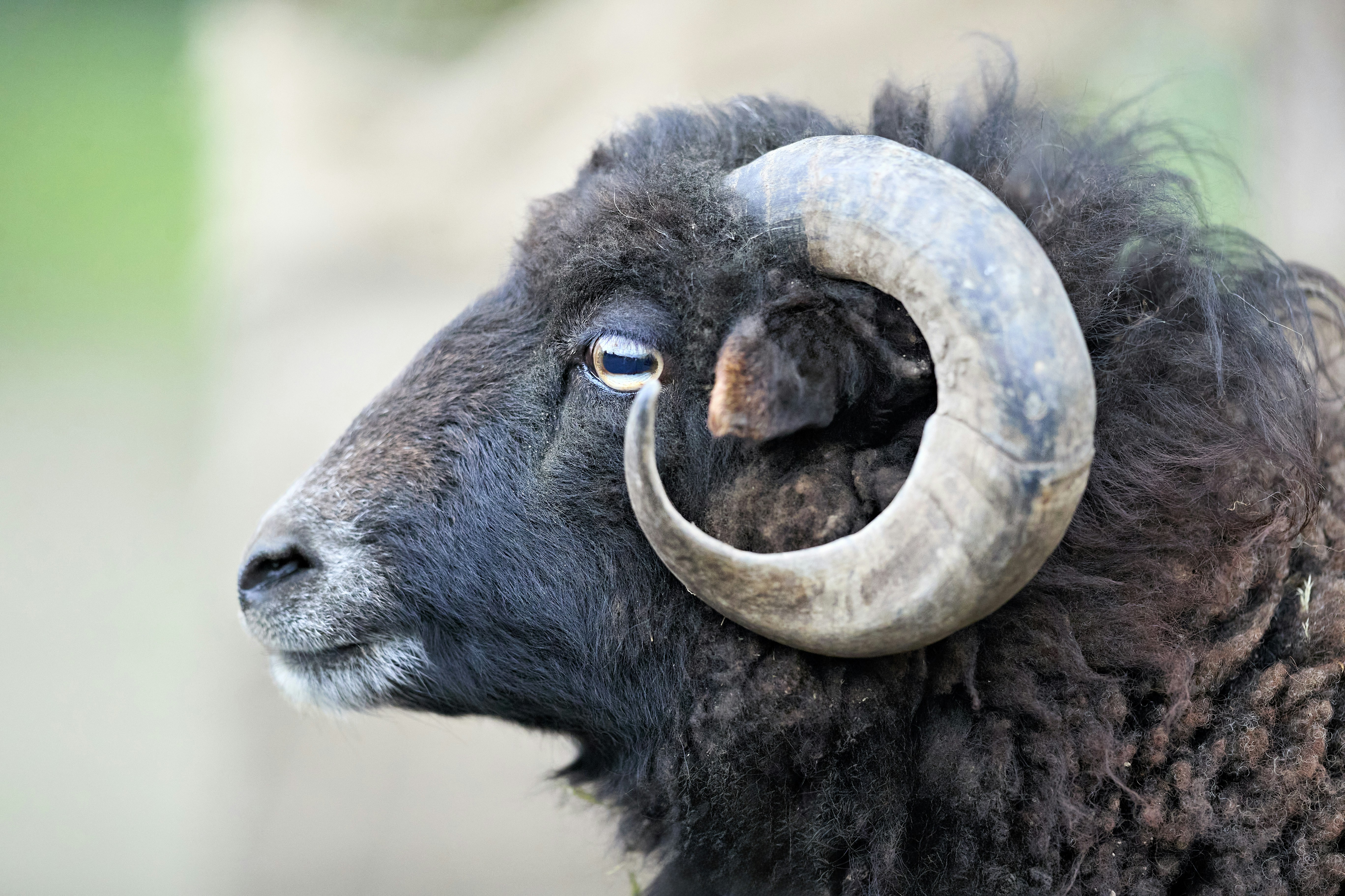 Photo by erwinbosman