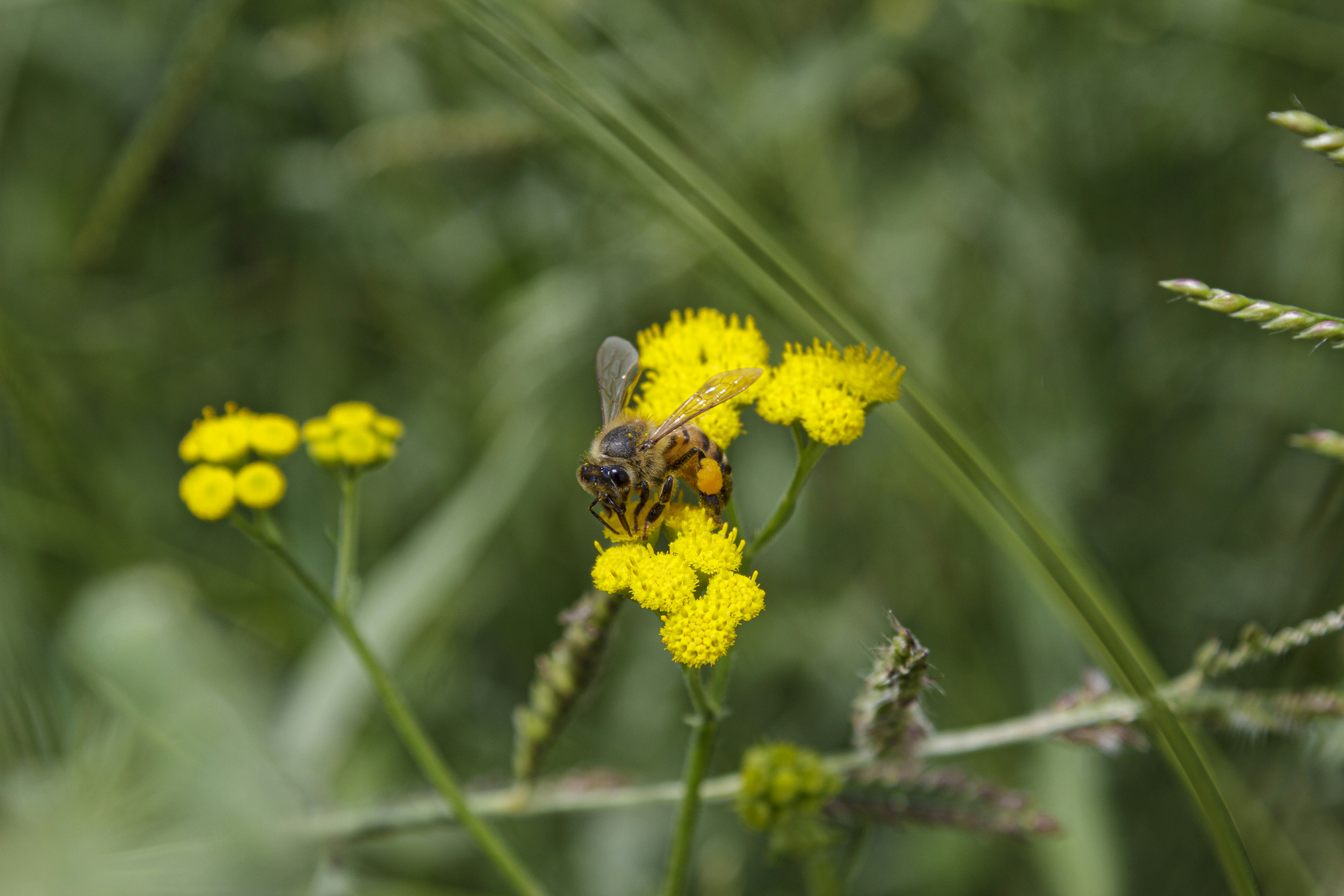 Photo by avariciousone