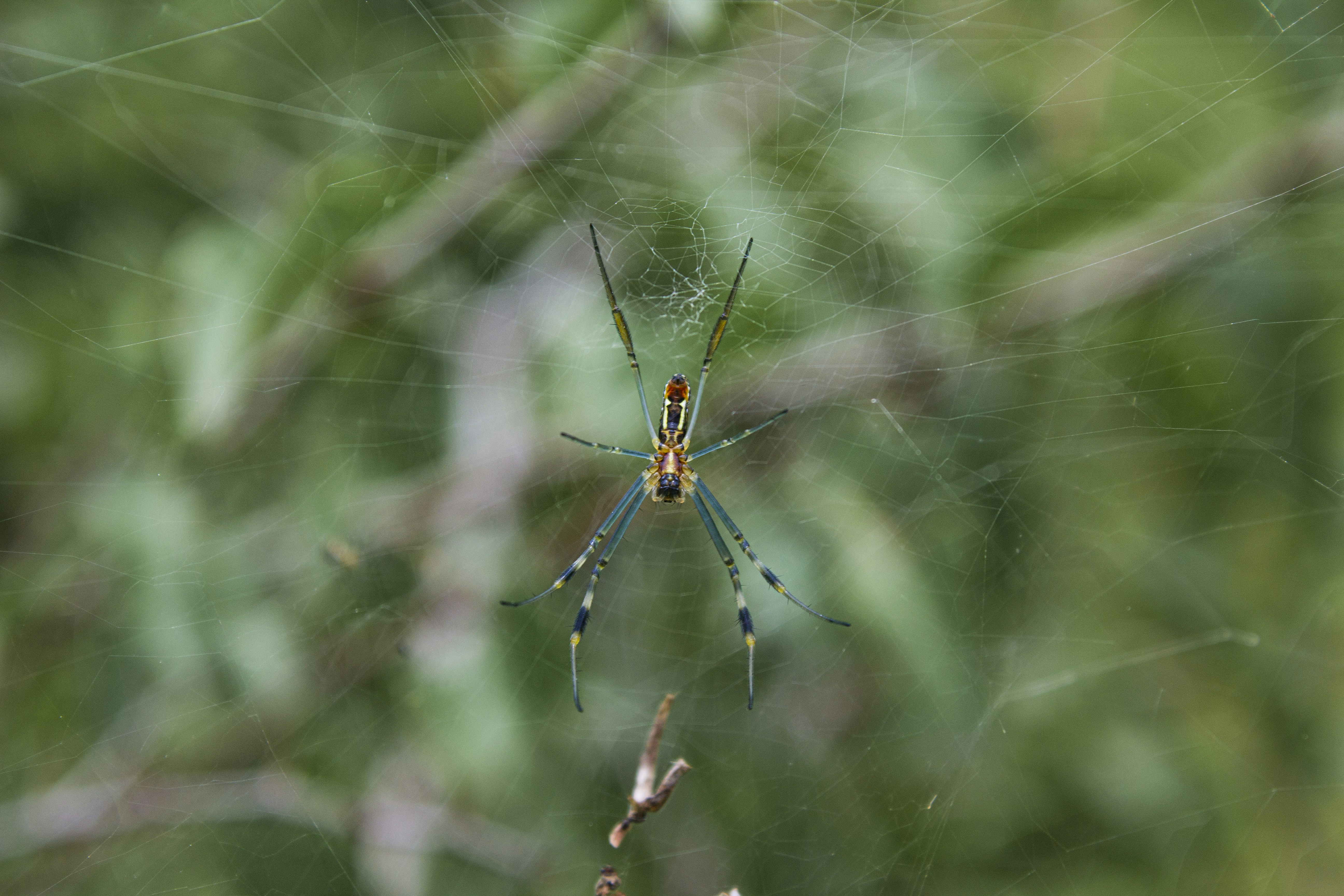 Photo by avariciousone