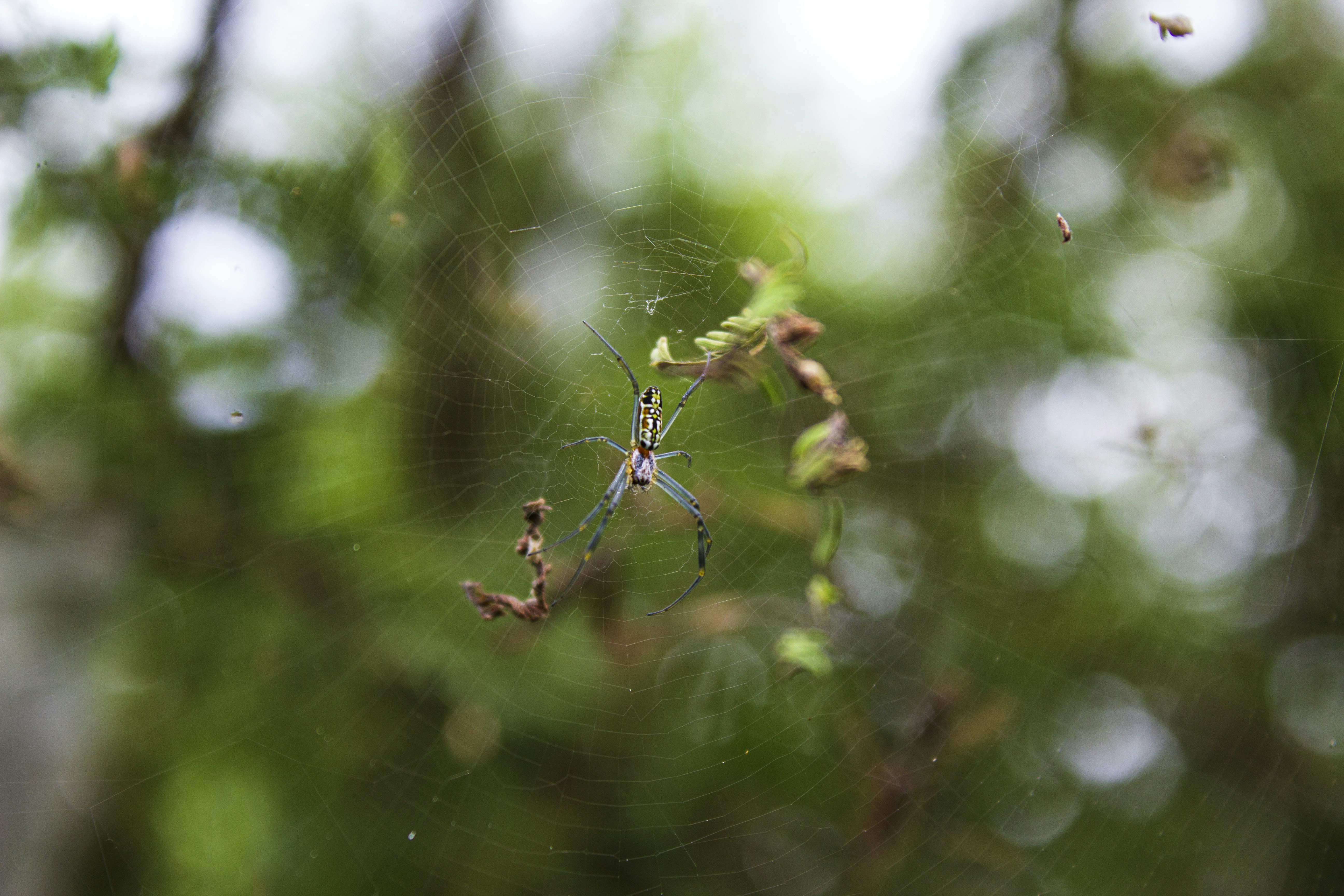 Photo by avariciousone