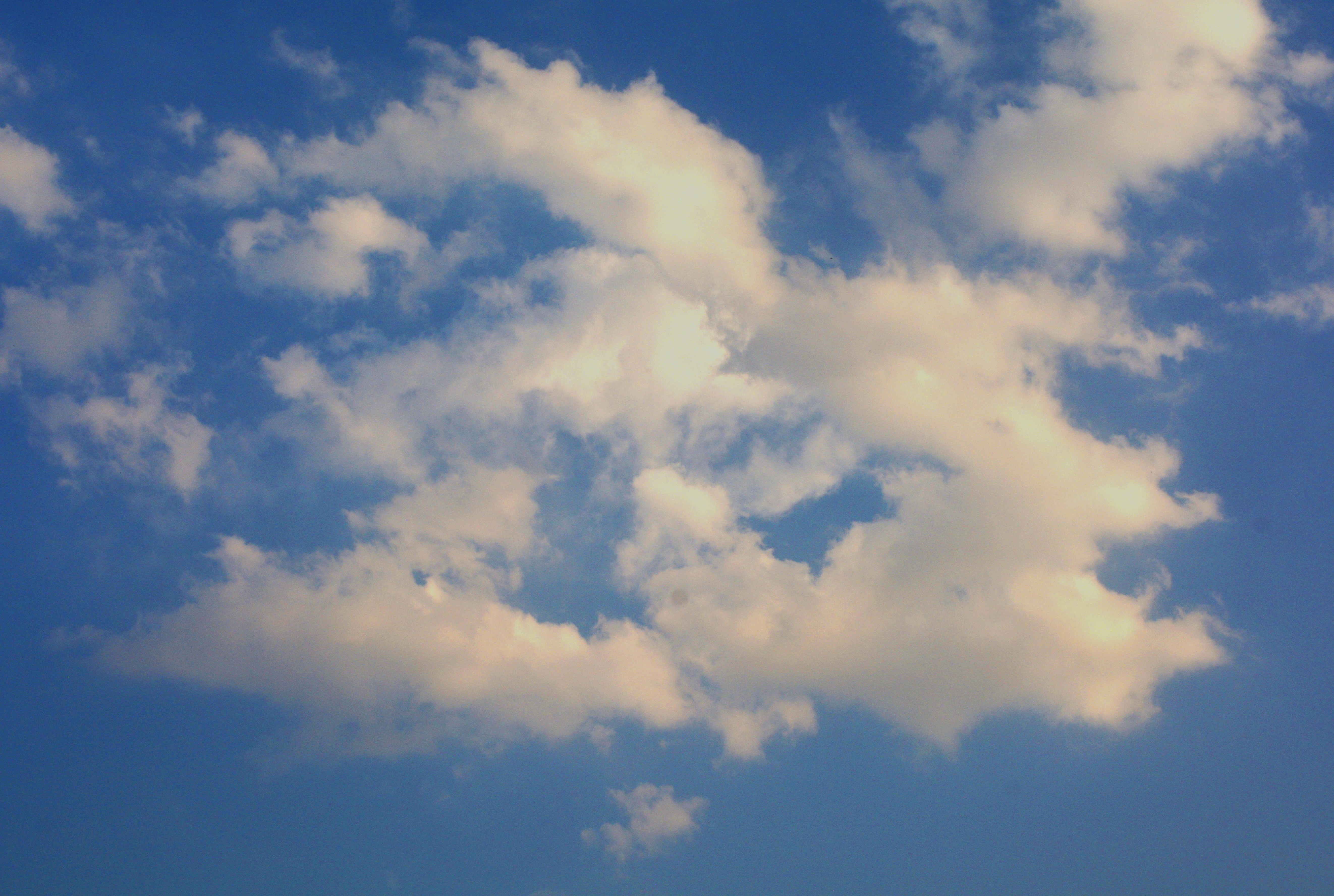 Photo by advaya_mahanot