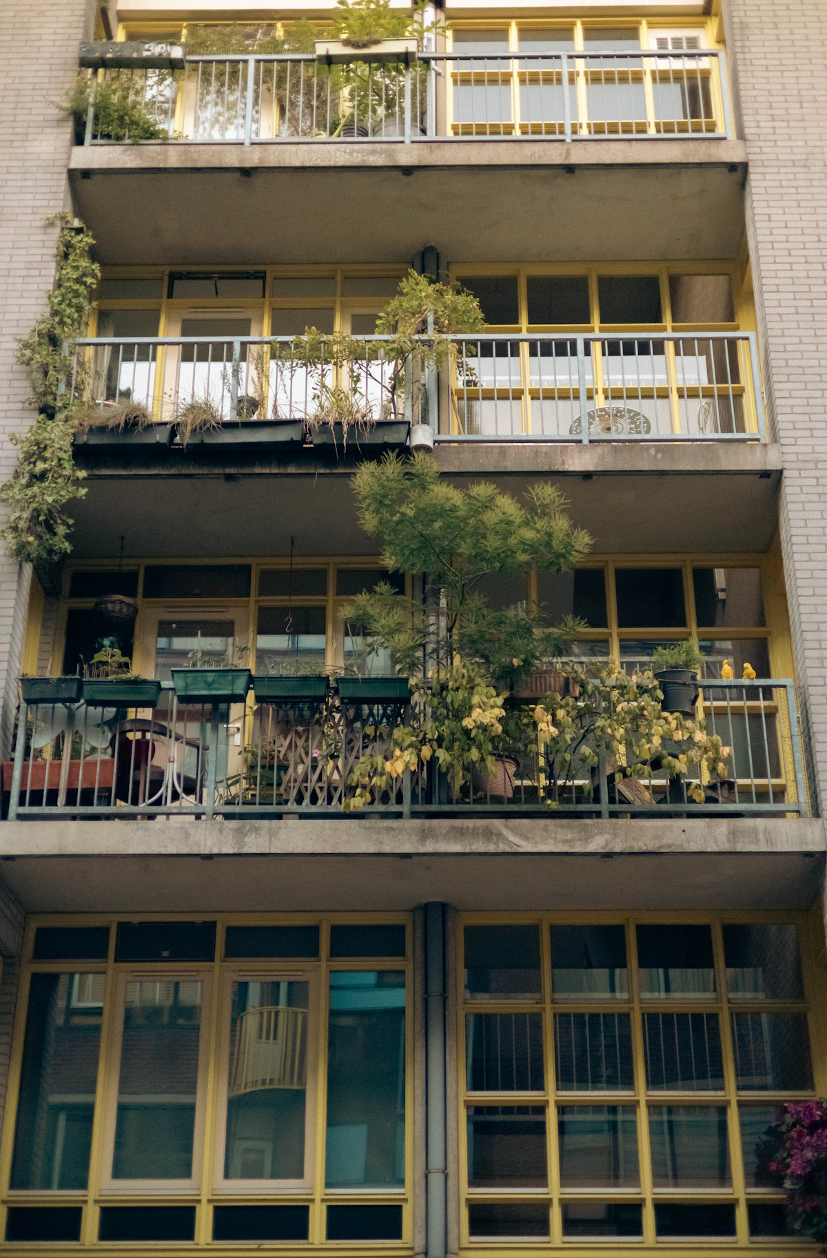 En balkon en planten appartement