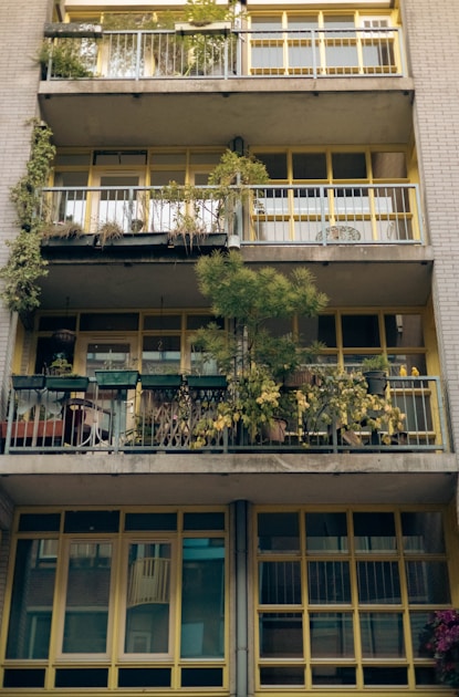 Growing berries balcony containers: detailed close-up view