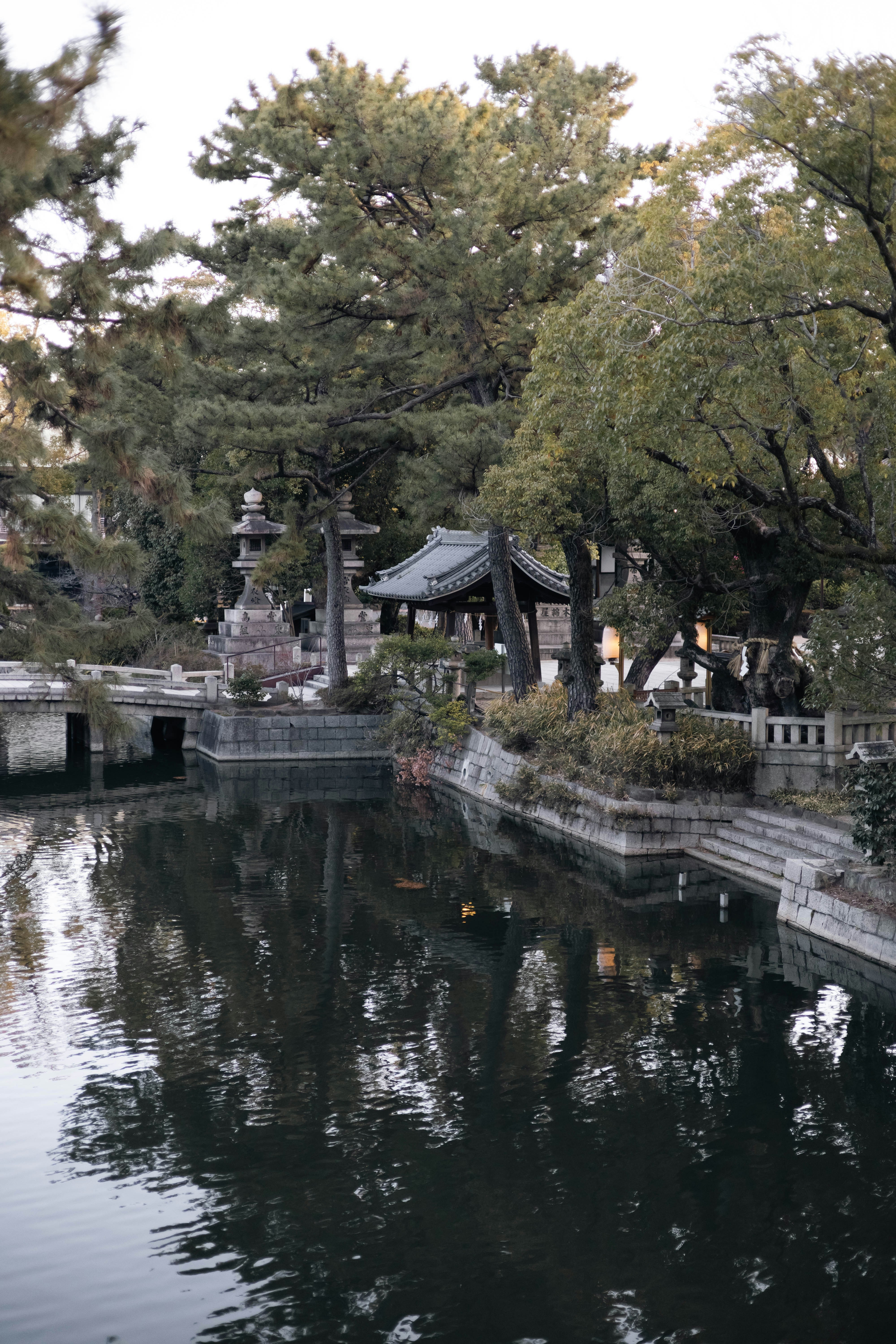 Traditional japanese garden with pond and pagoda