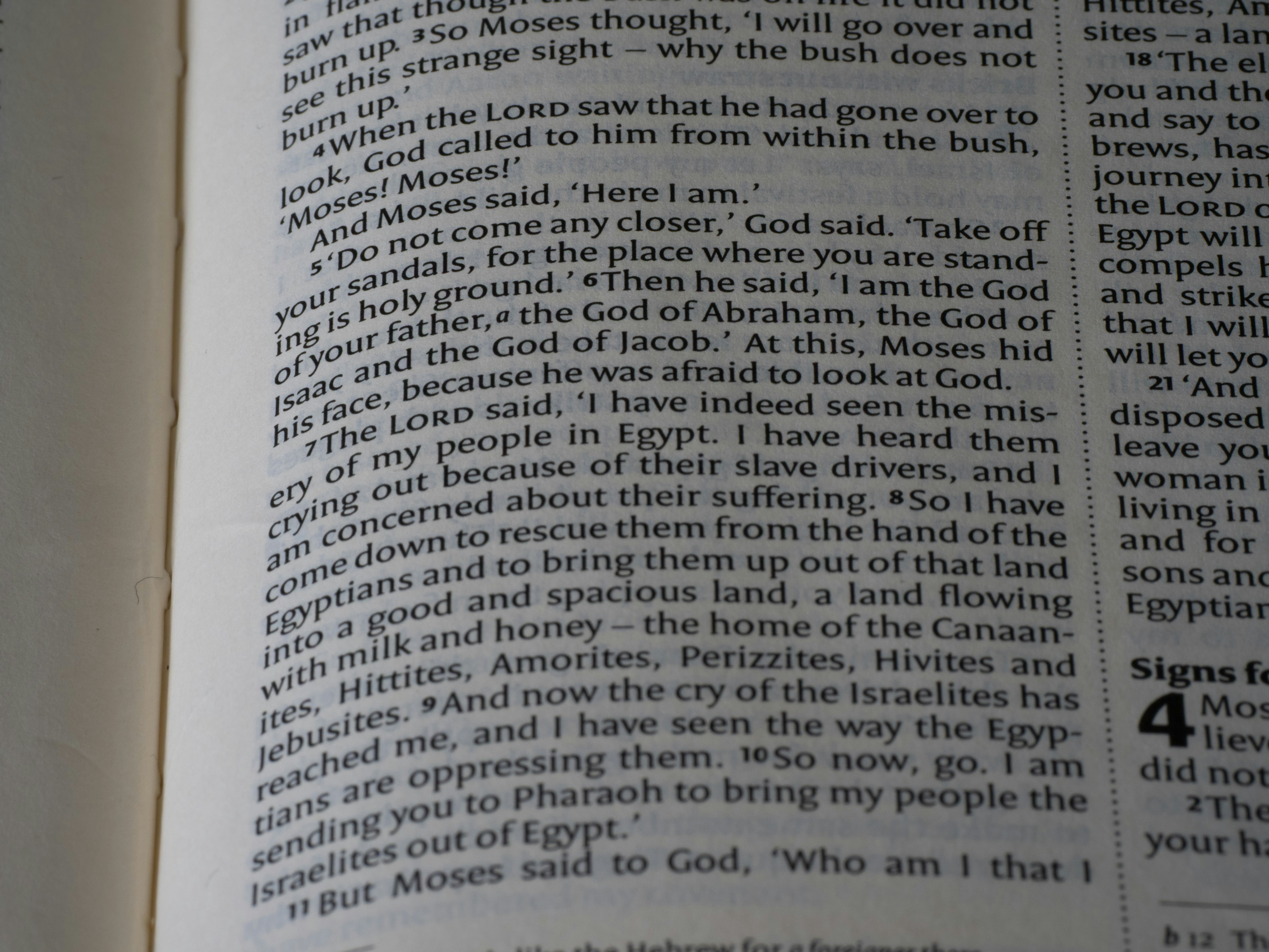 Close-up of open bible pages with text.