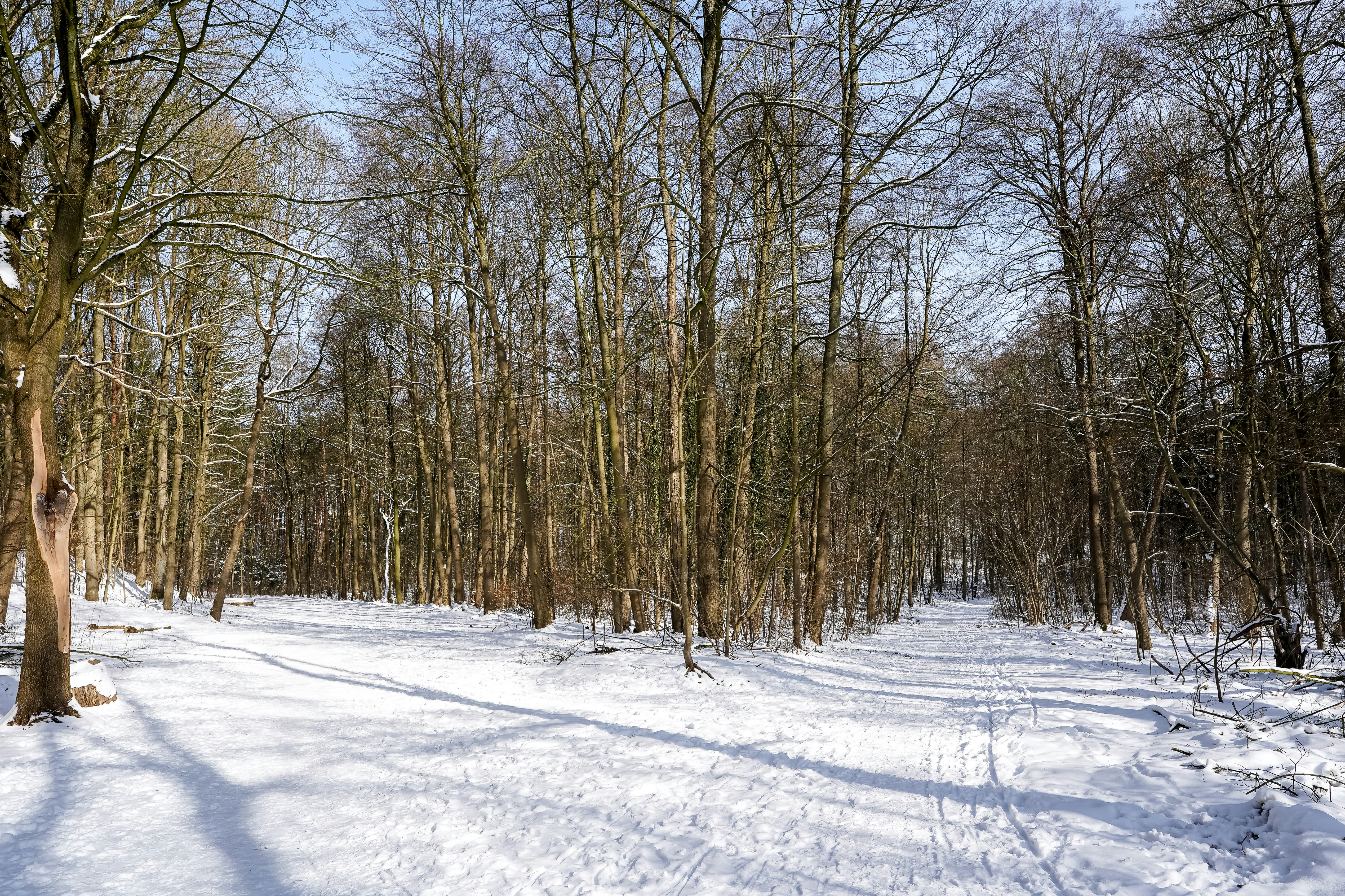 Photo by hamburgmeinefreundin