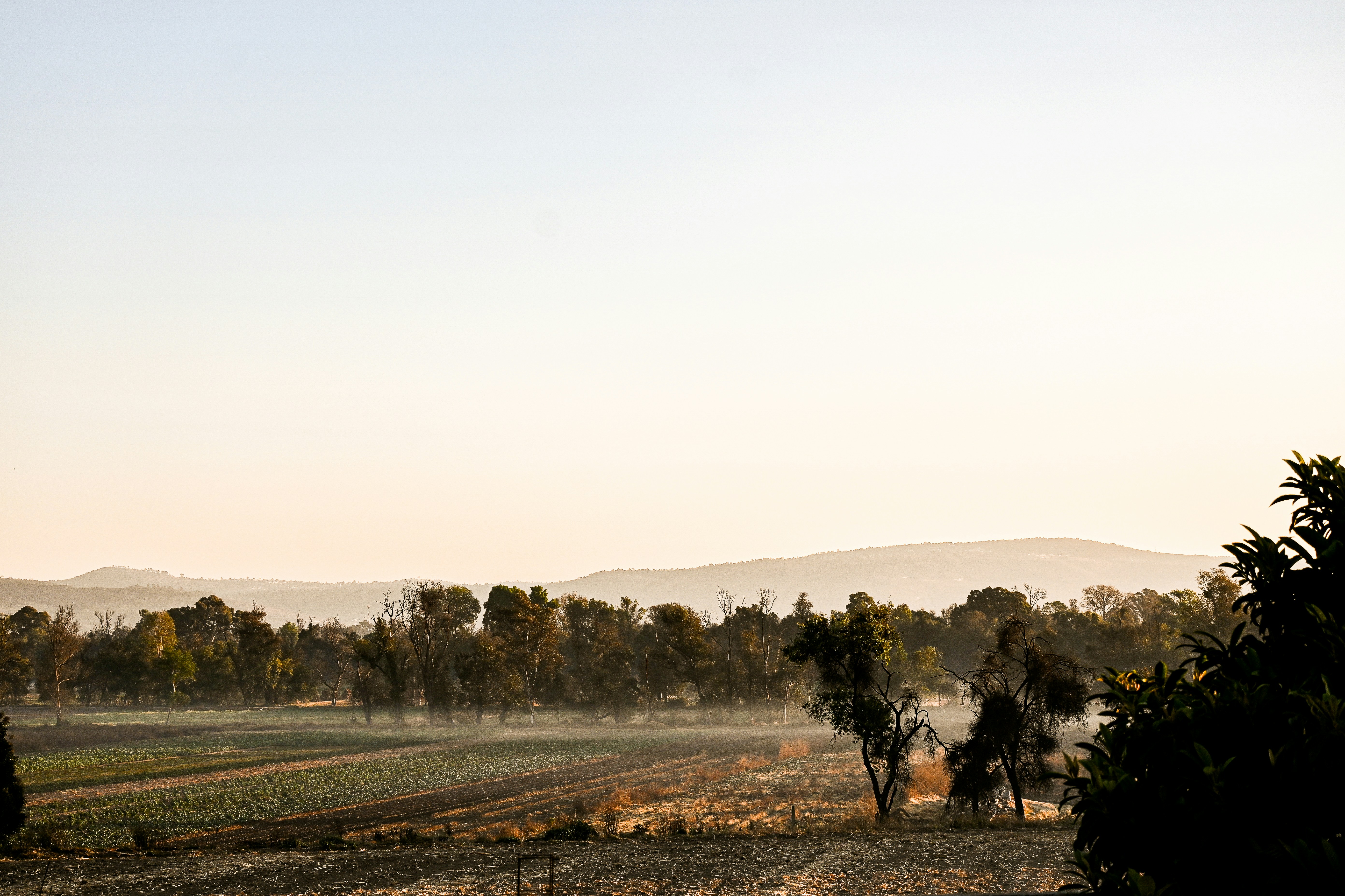 Photo by vanya_serrano11