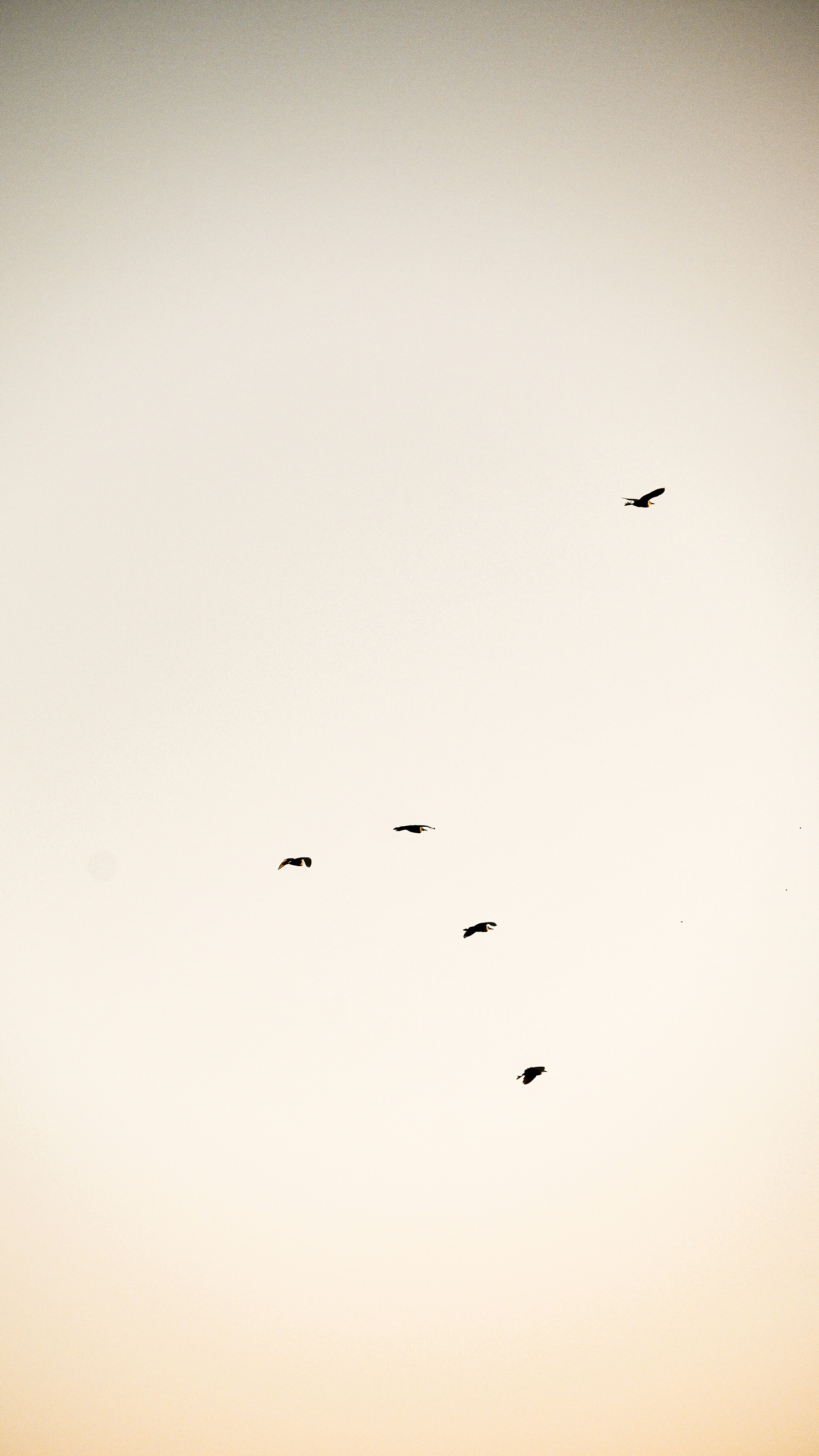 Photo by vanya_serrano11