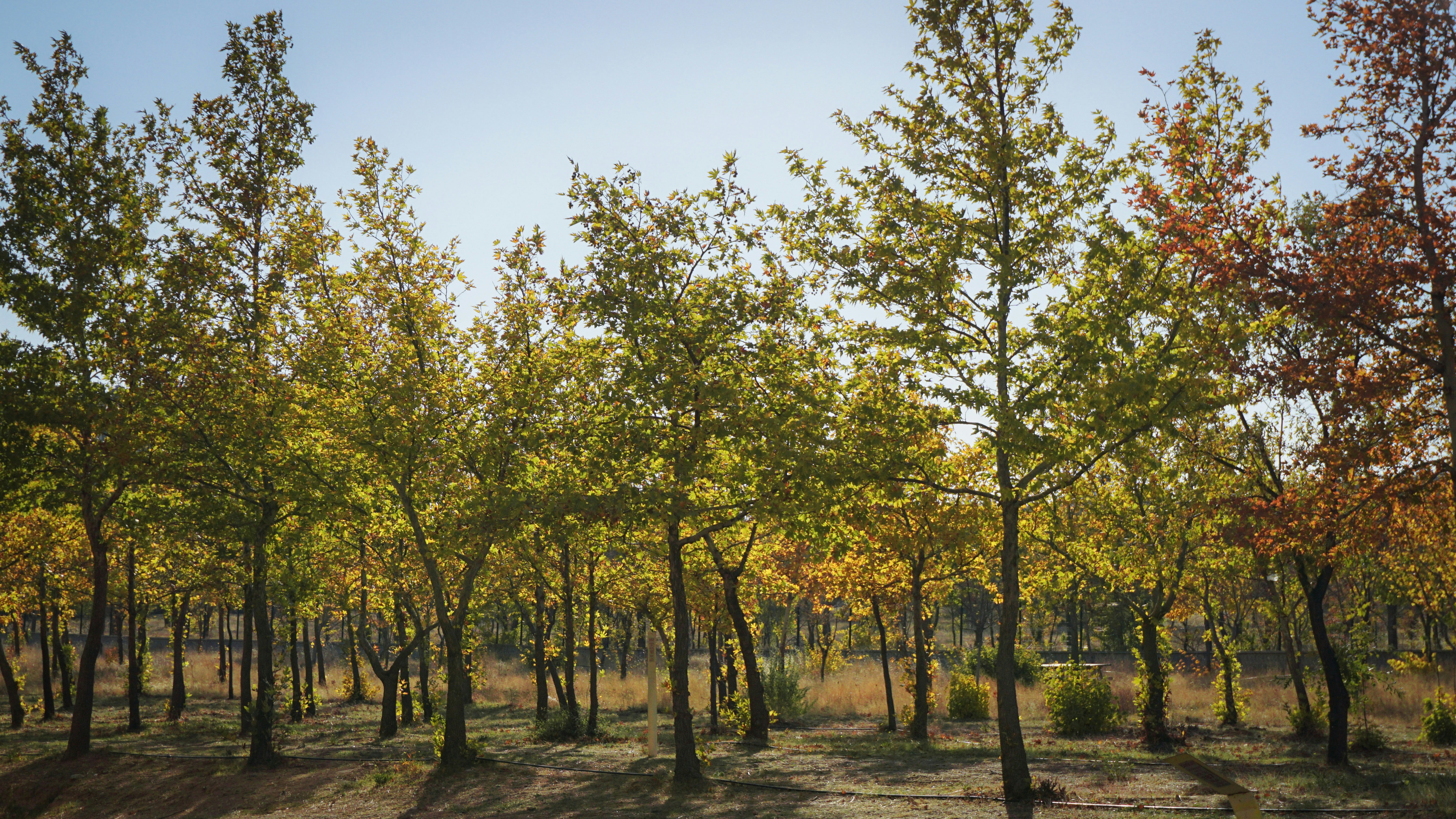 Photo by erdem_aydin