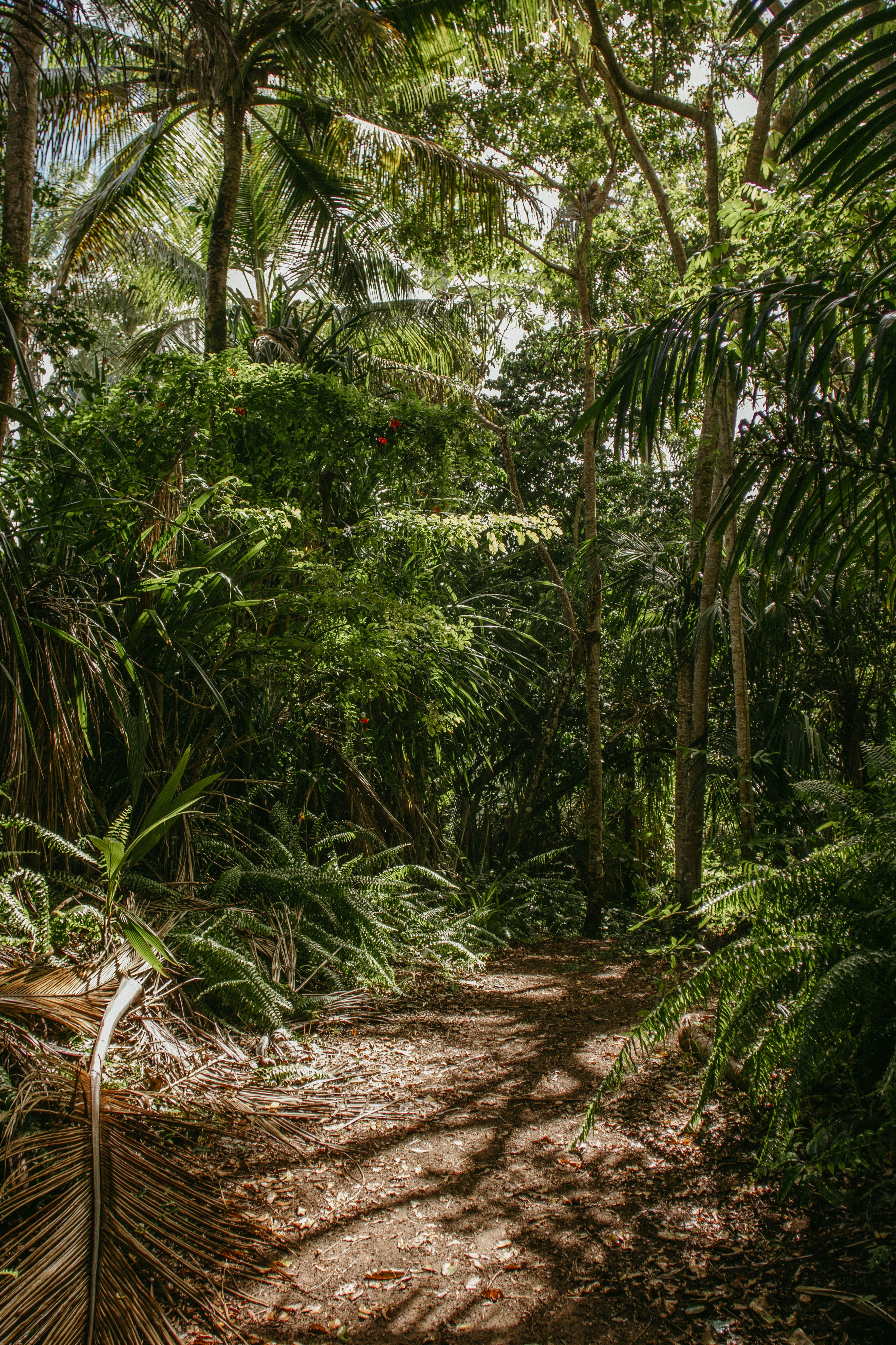 Photo by jonathanborba