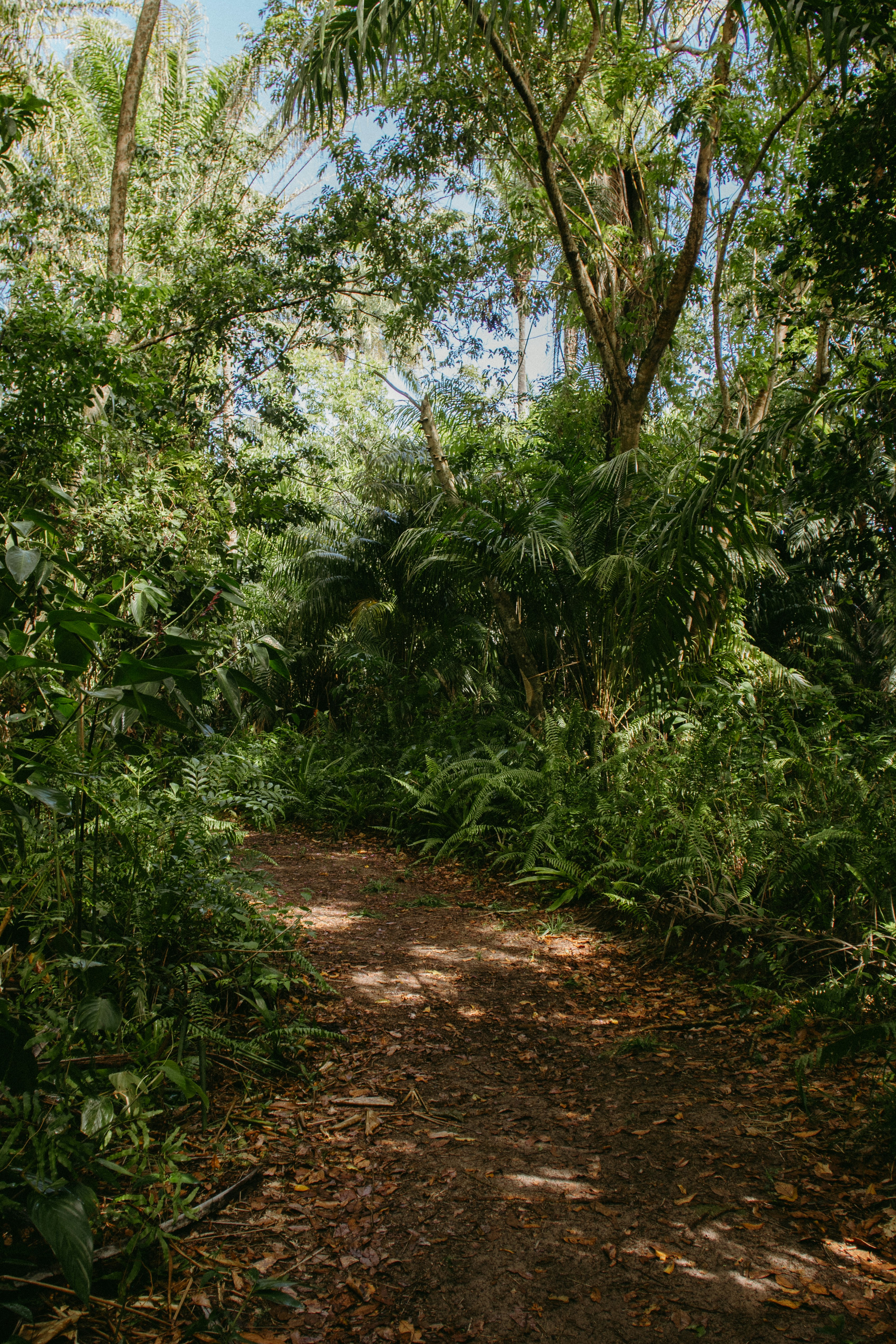 Photo by jonathanborba