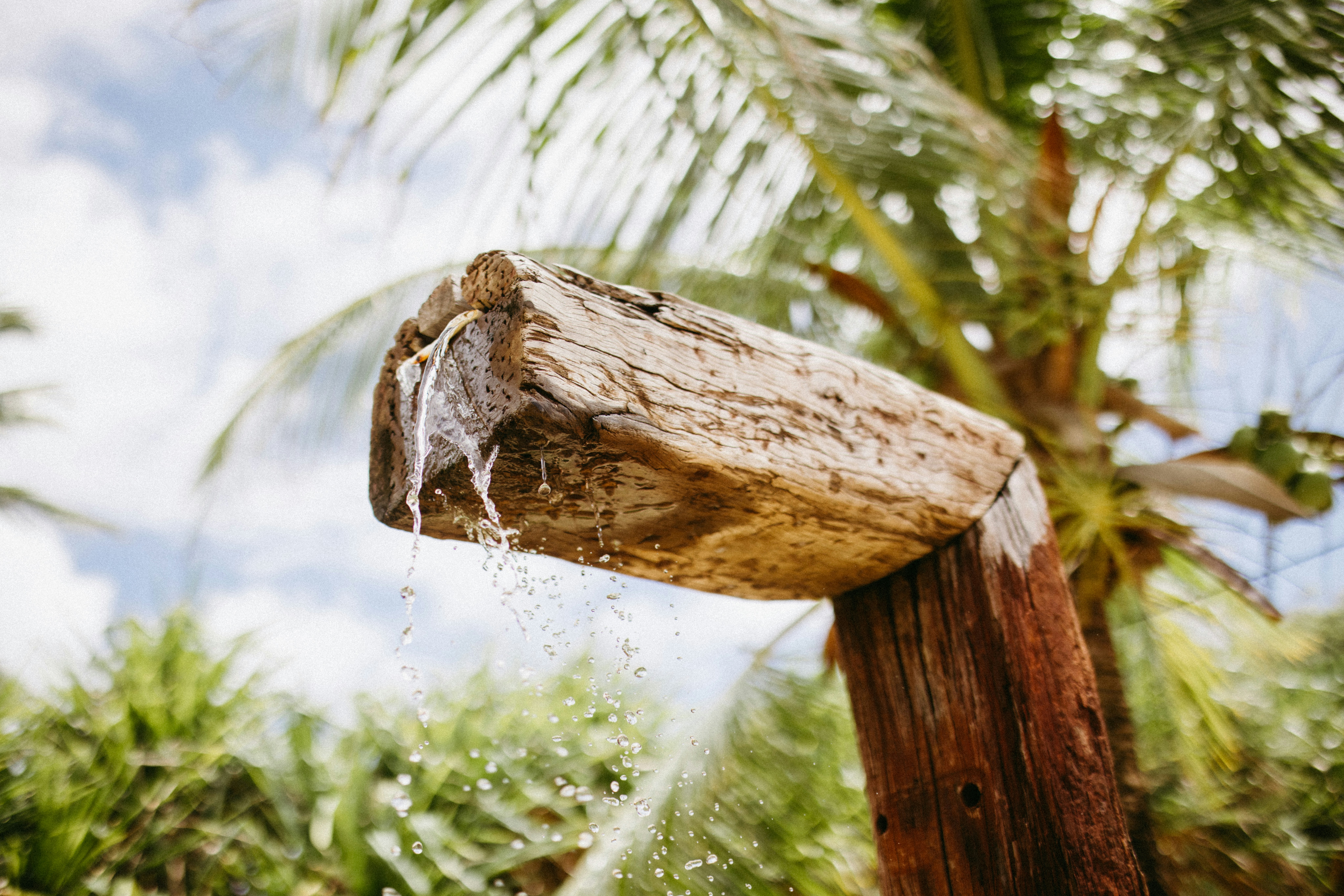Wasser fließt aus einem Holzausguss mit Palmen