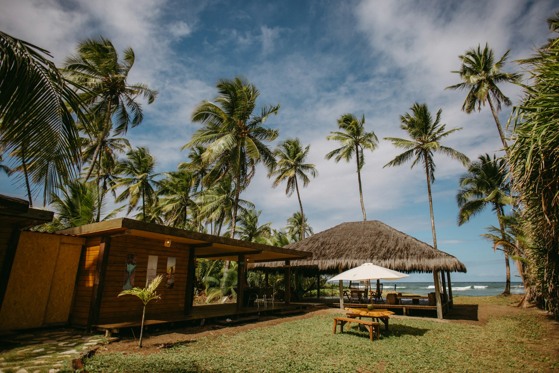 Tropical bungalows and palm trees beside the ocean