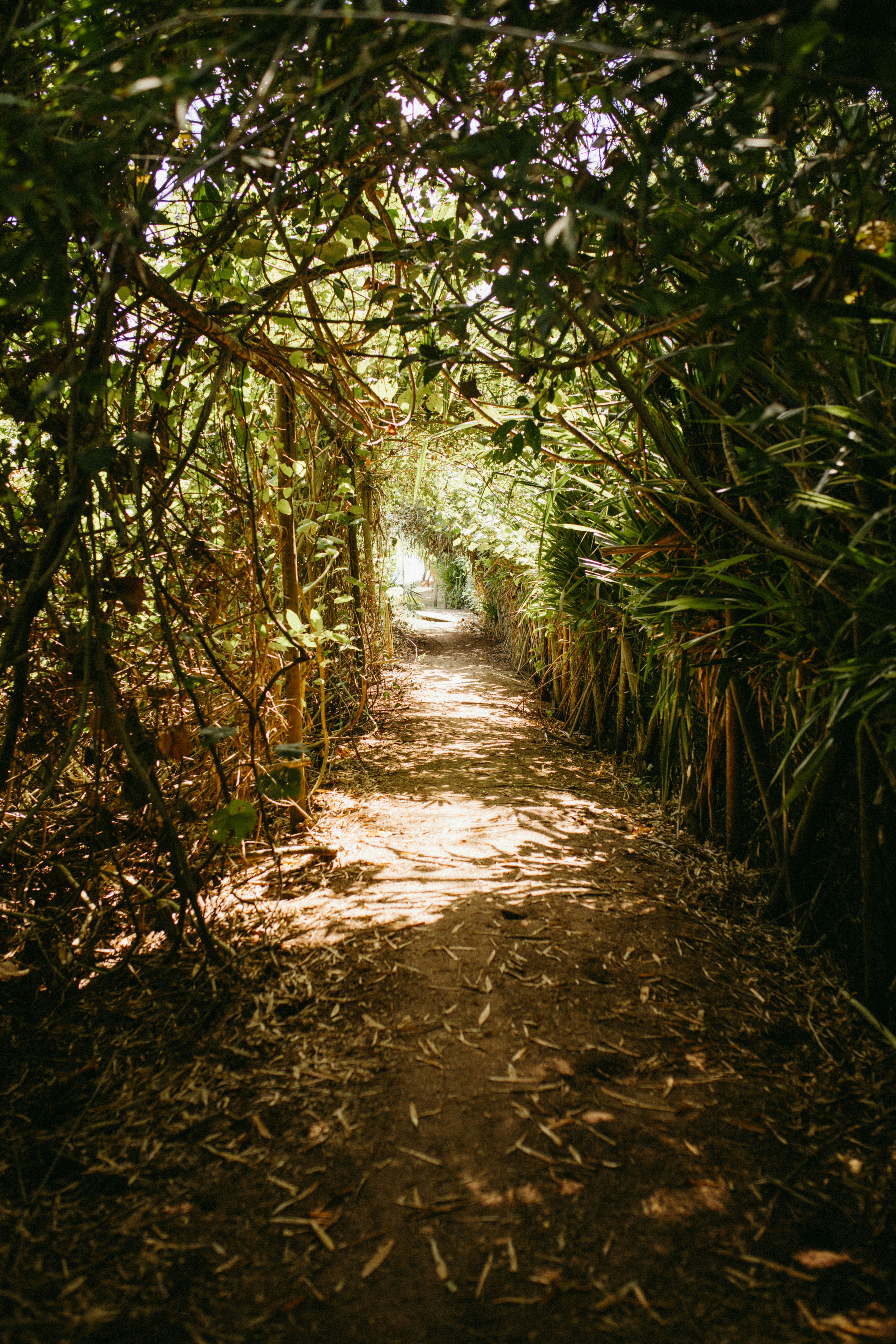 Photo by jonathanborba