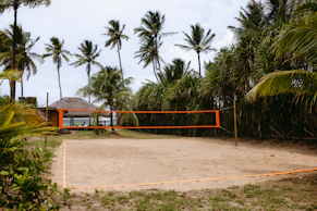 Beach volleyball court surrounded by palm trees and lush foliage
