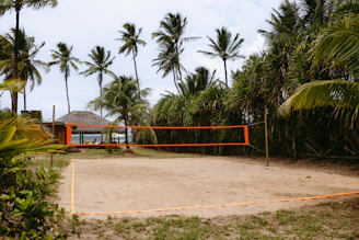 Beach volleyball court surrounded by palm trees and lush foliage