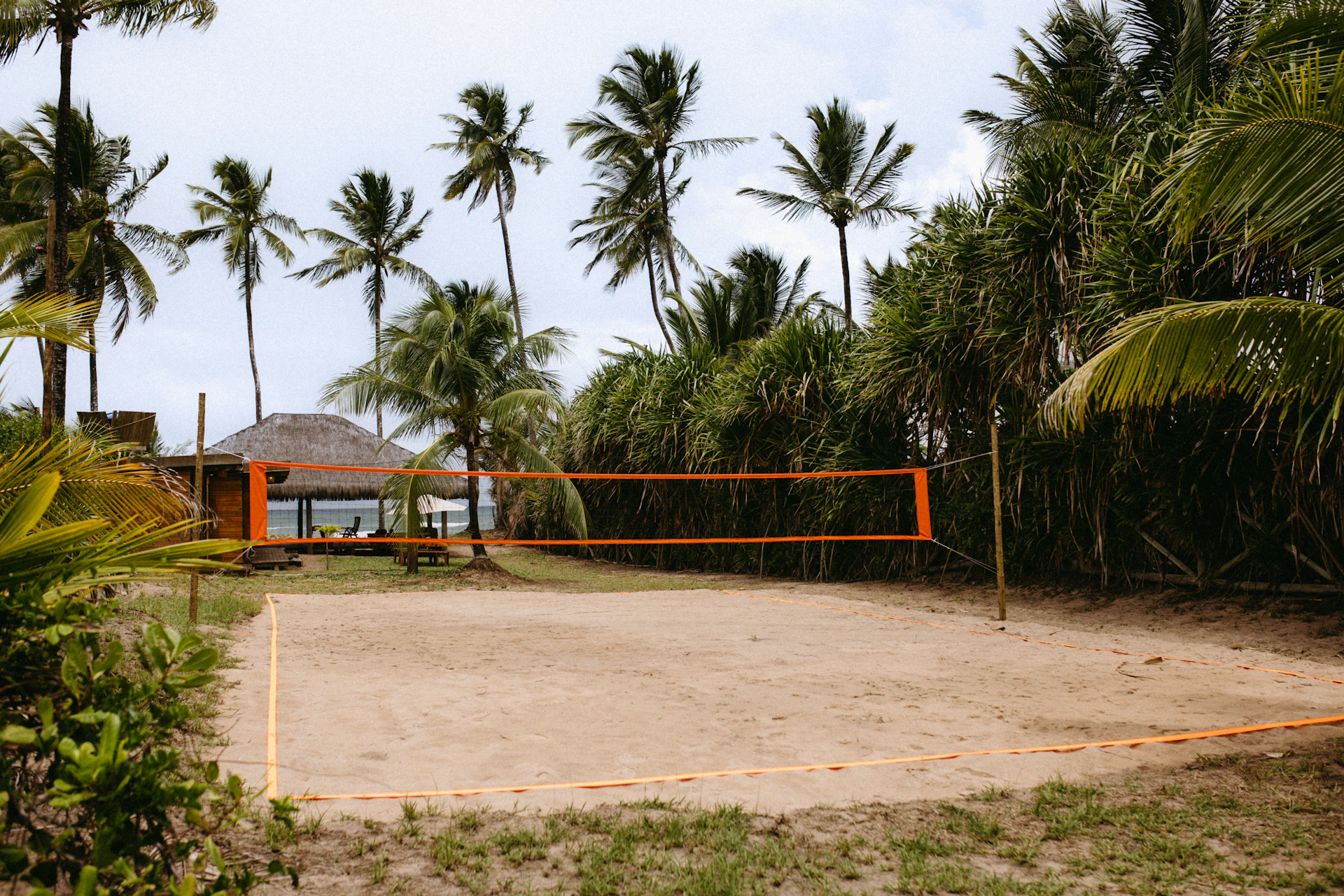 Beach volleyball court surrounded by palm trees and lush foliage