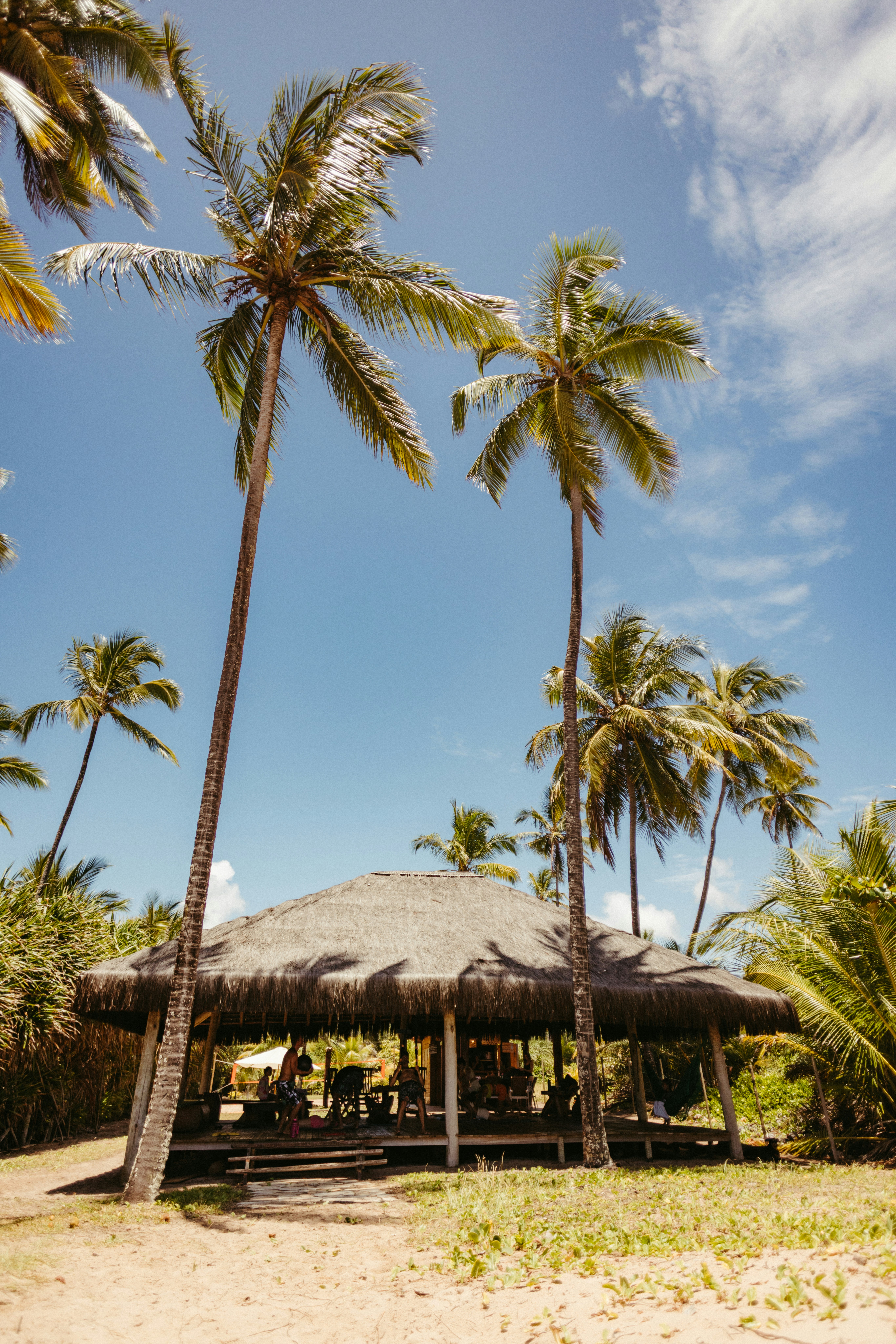 Photo by jonathanborba