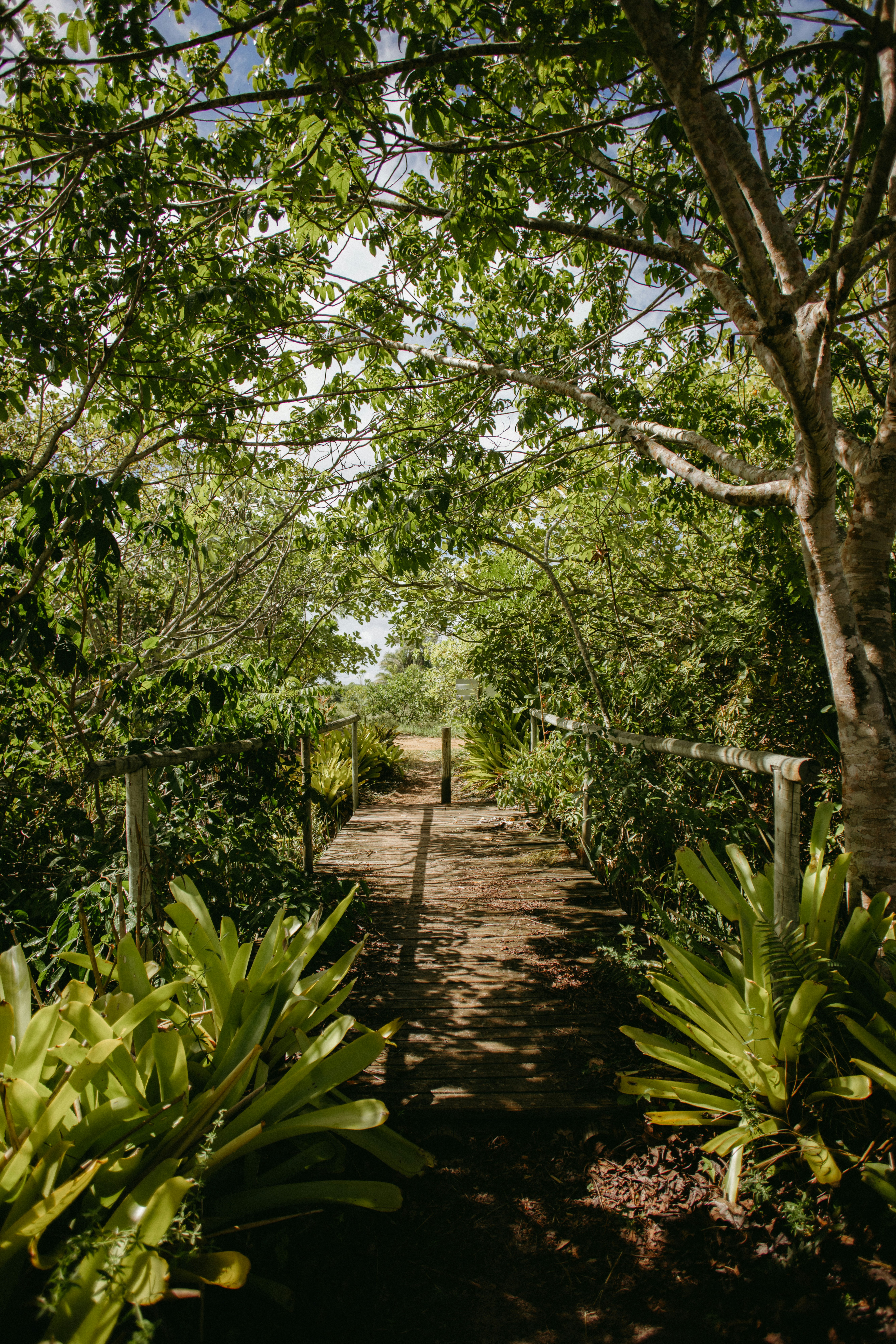 Photo by jonathanborba