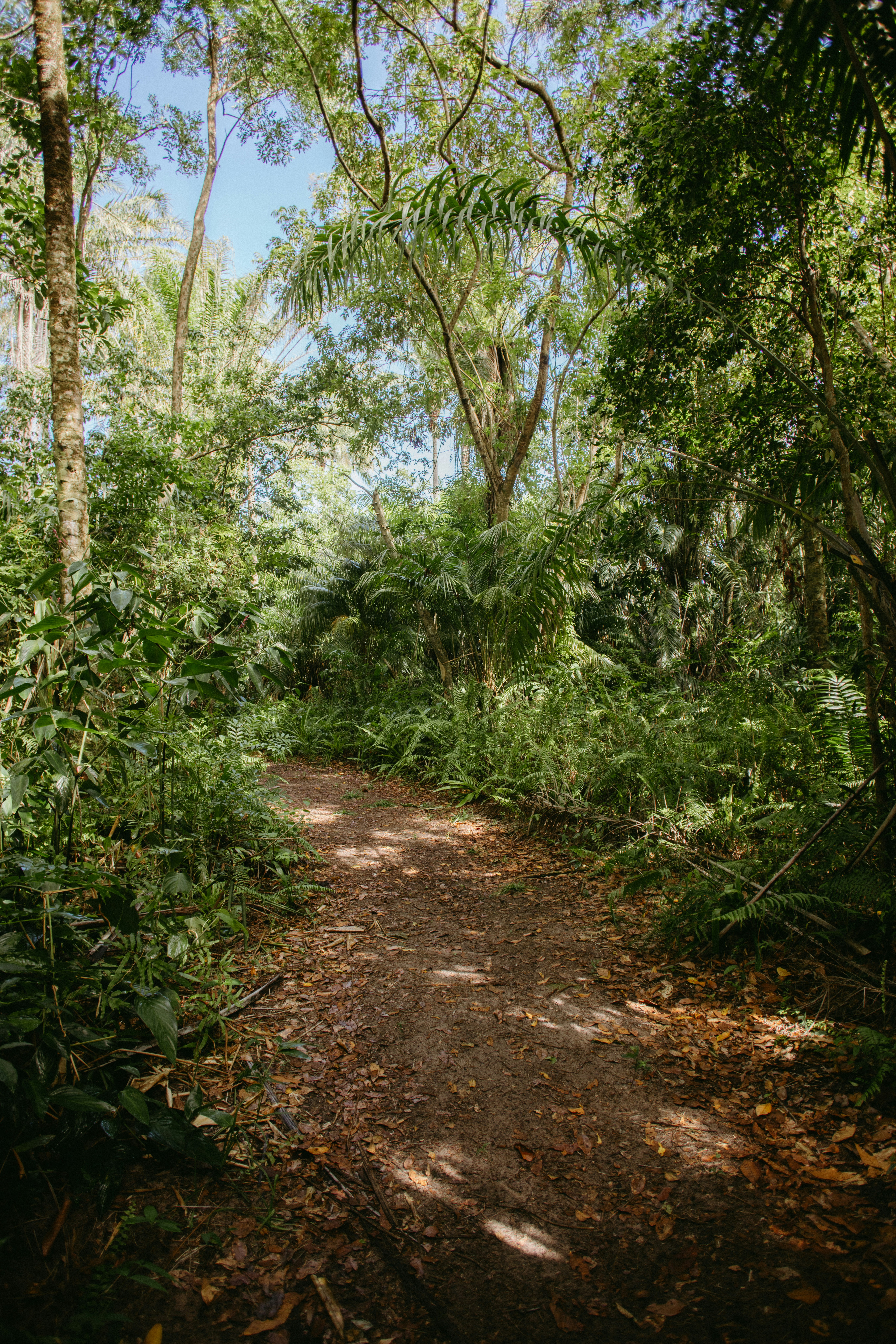 Photo by jonathanborba