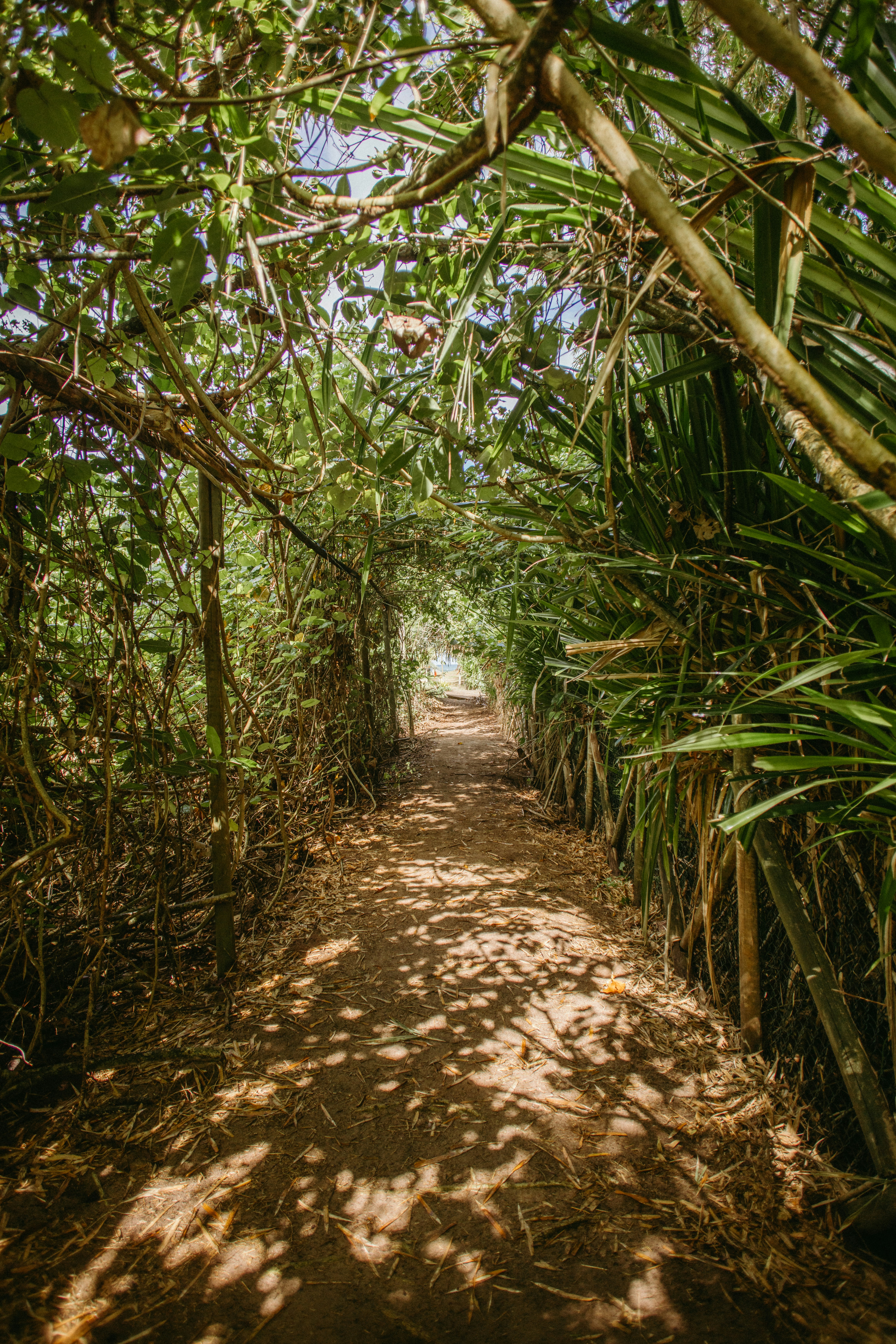 Photo by jonathanborba