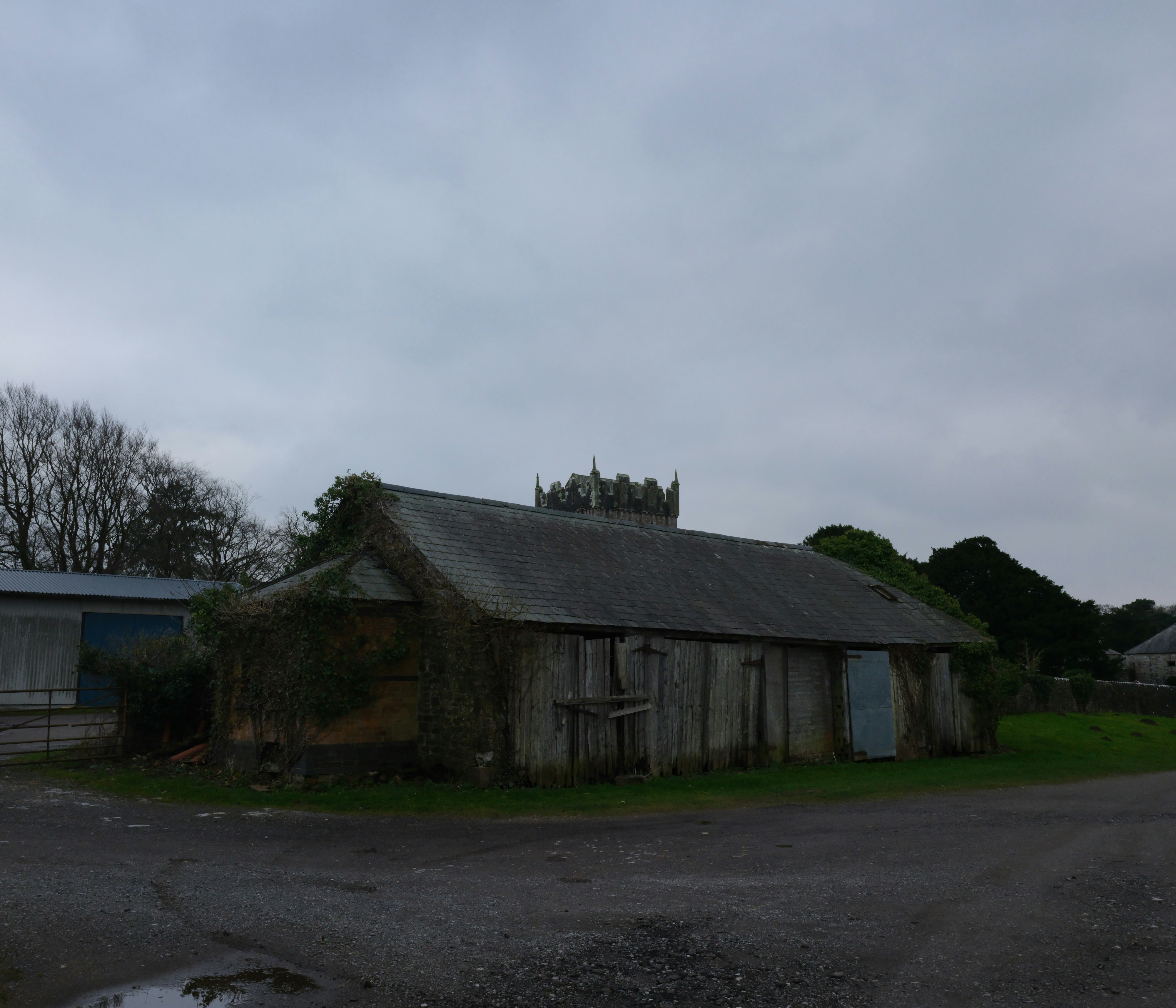 Photo by tanyabarrow