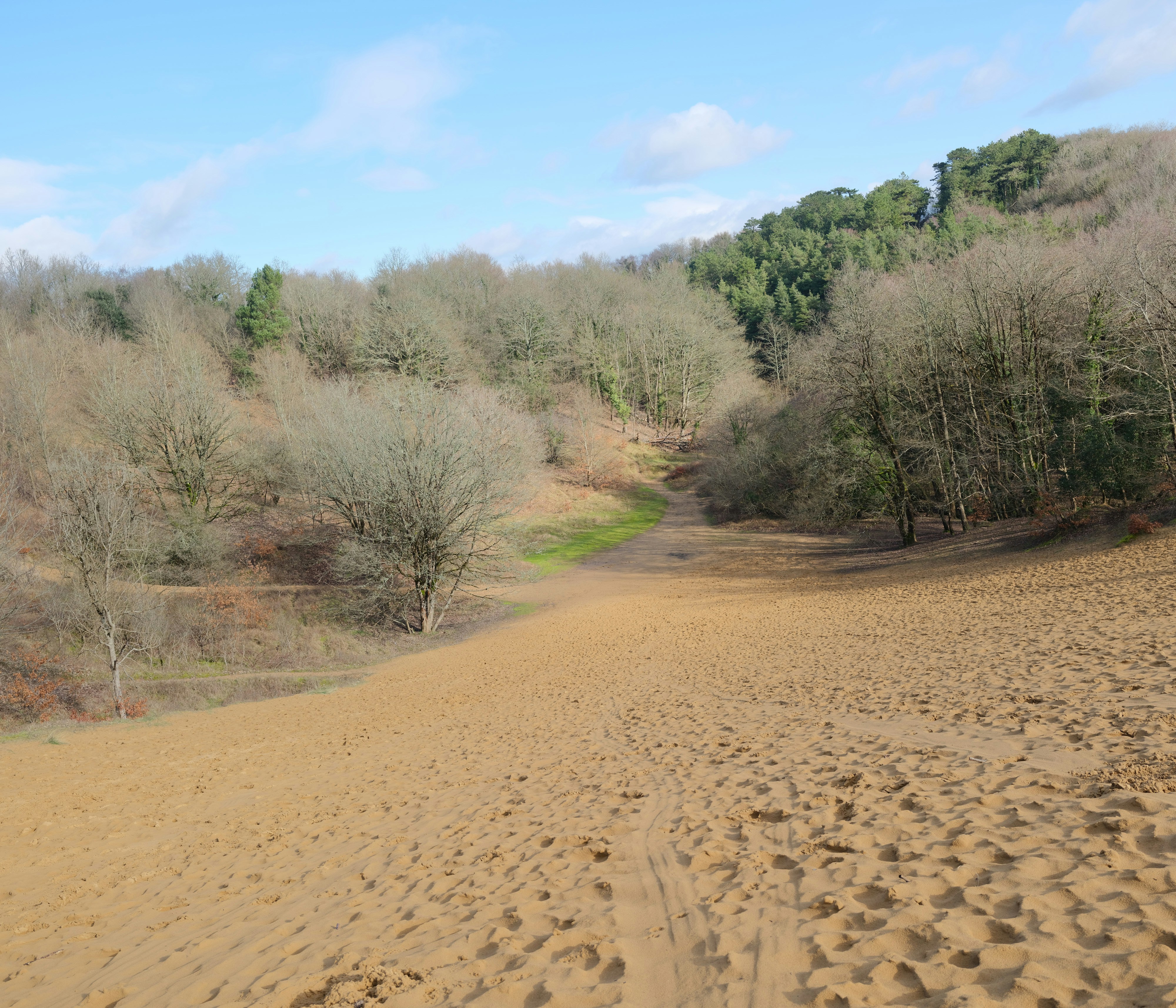 Photo by tanyabarrow