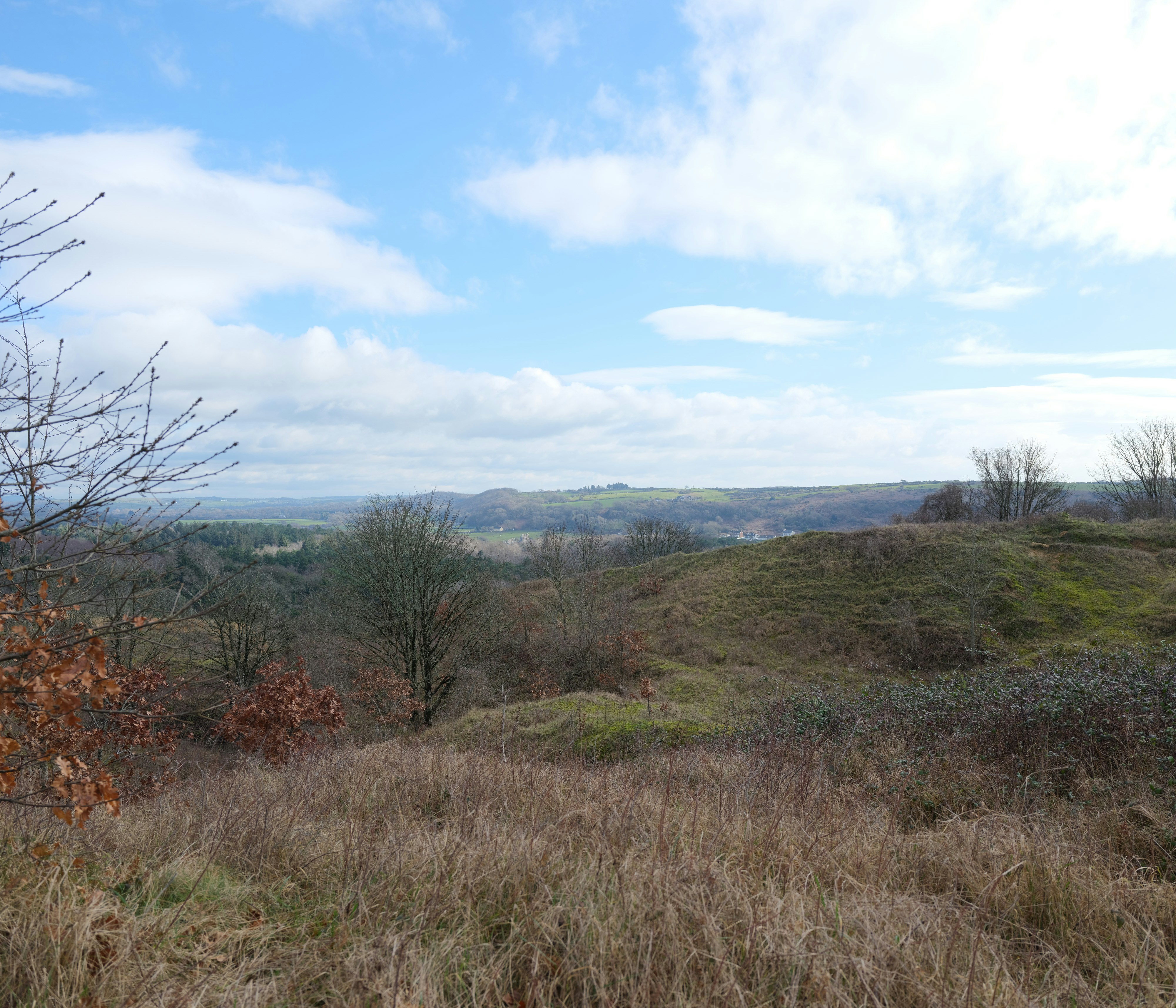 Photo by tanyabarrow