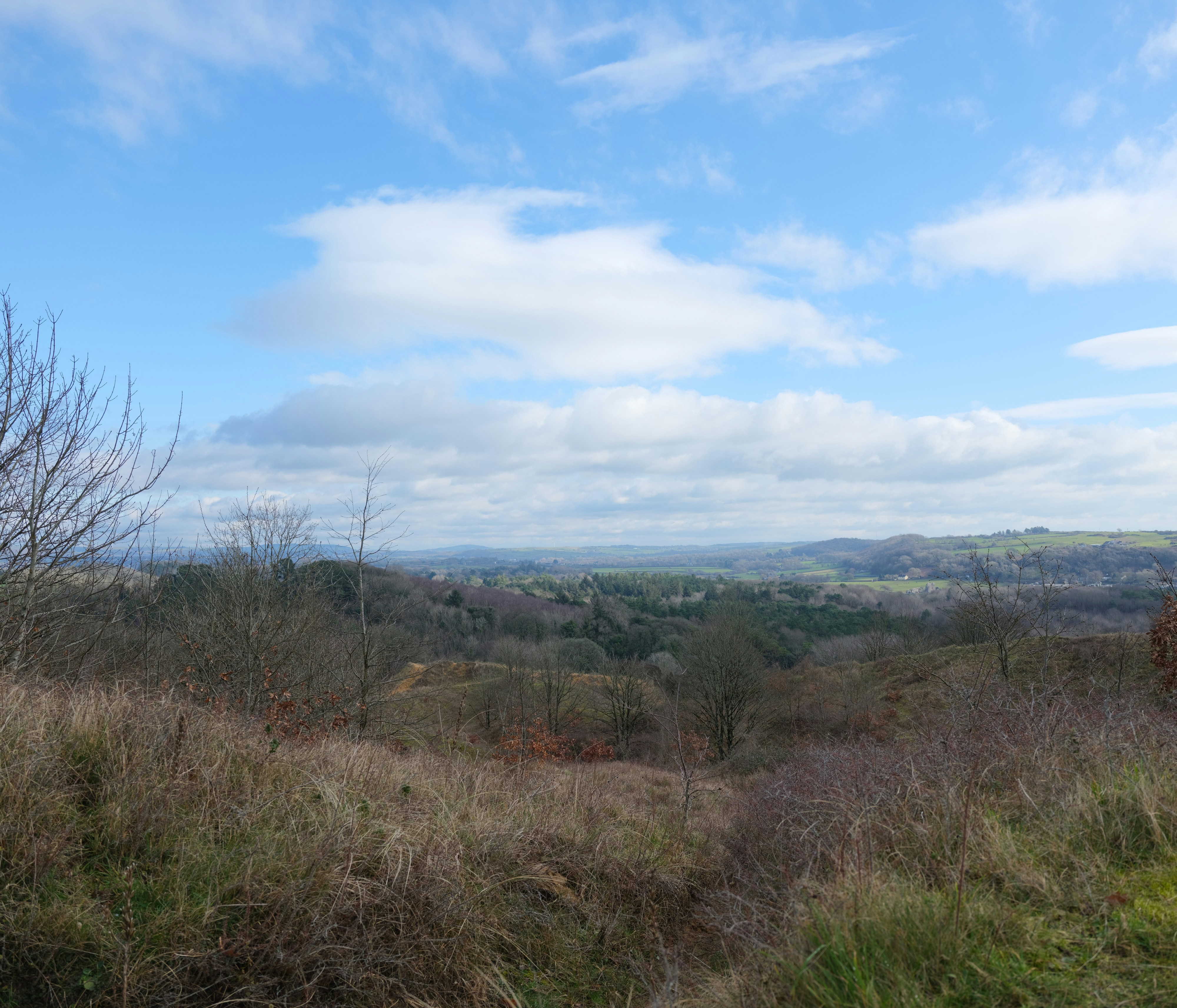 Photo by tanyabarrow