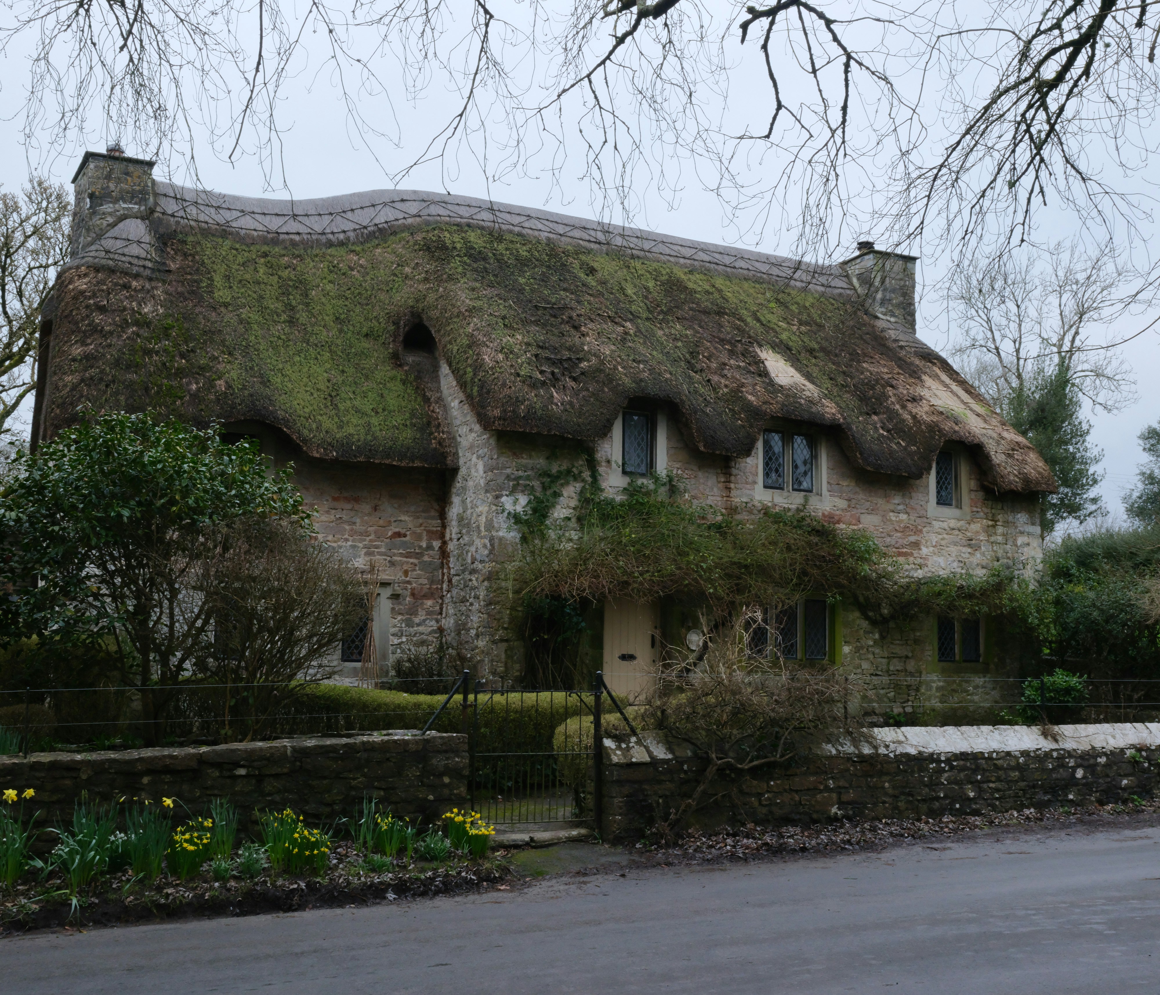 Photo by tanyabarrow