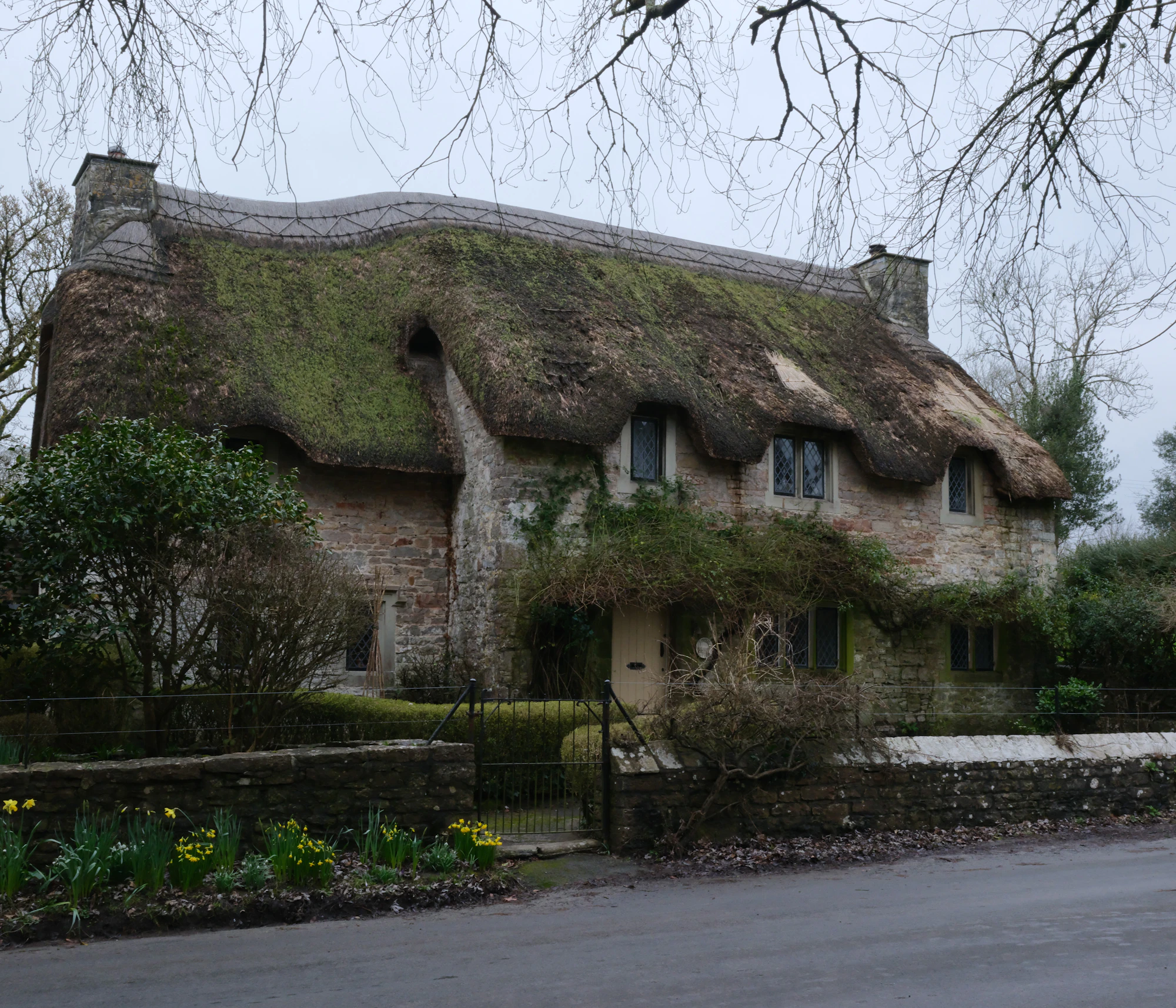 La longère des Mésanges, façade sud