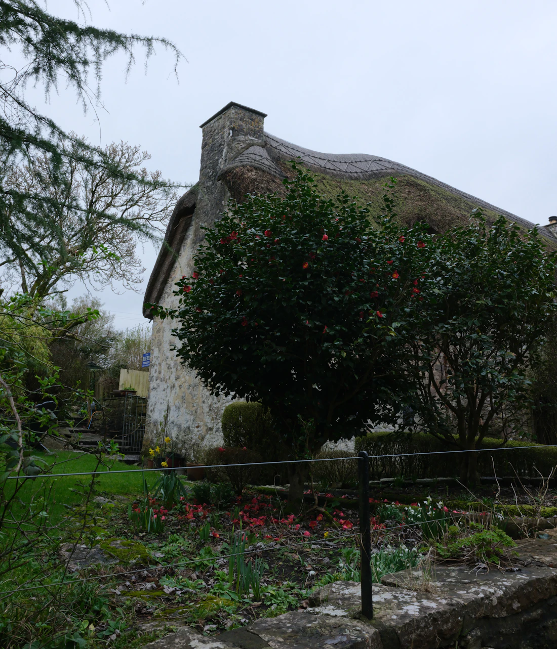 A thatched cottage behind flowering garden beds