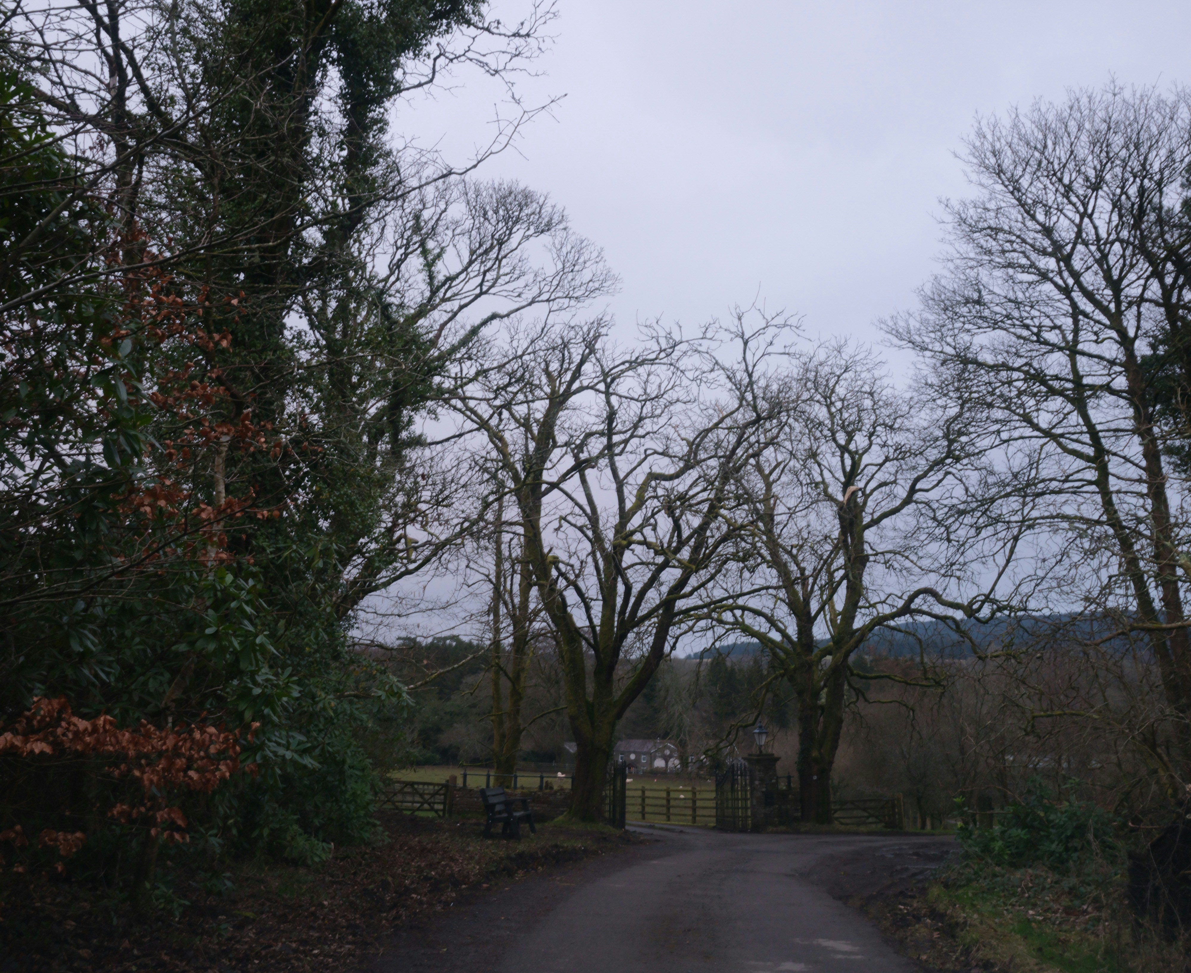 Photo by tanyabarrow