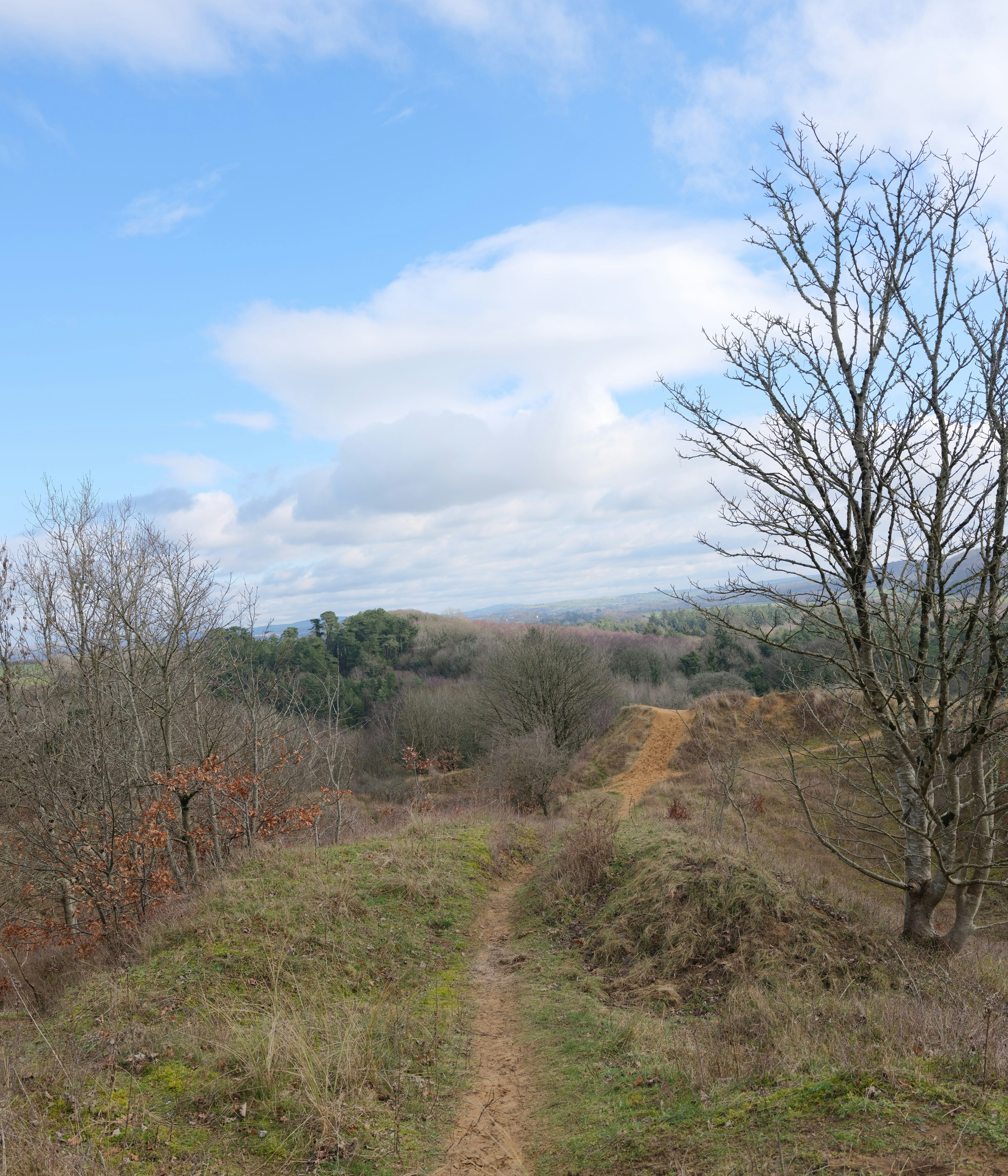 Photo by tanyabarrow