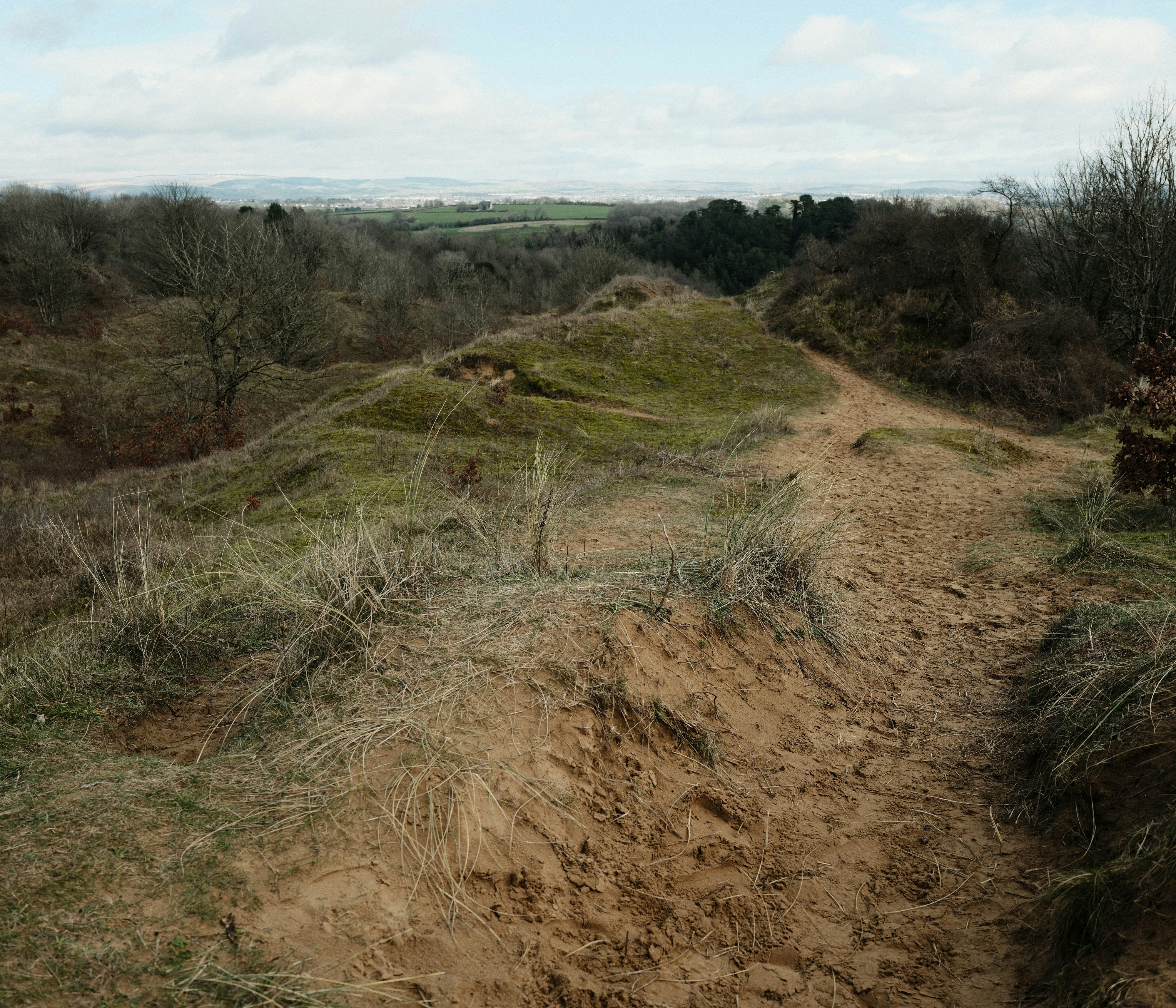 Photo by tanyabarrow