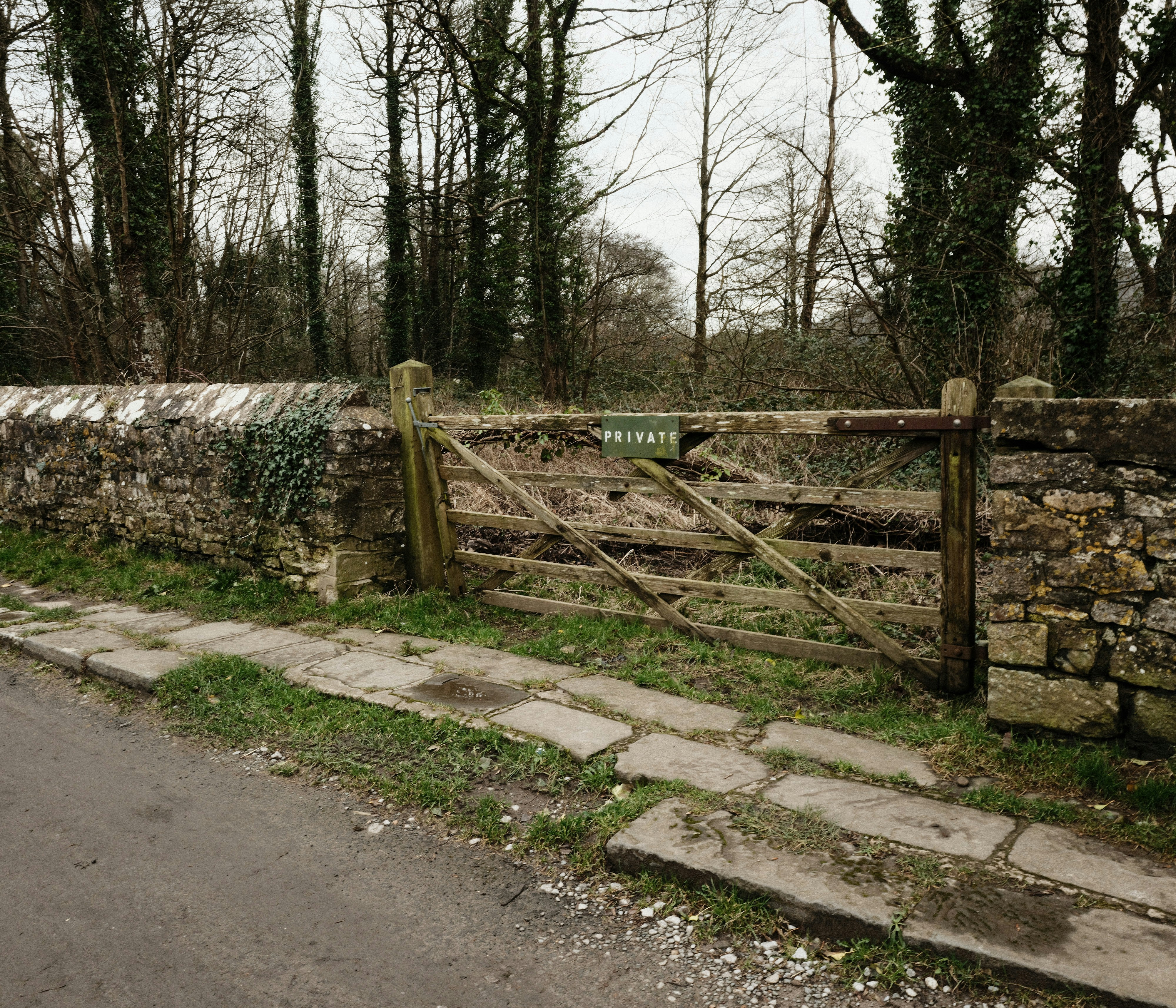 Photo by tanyabarrow