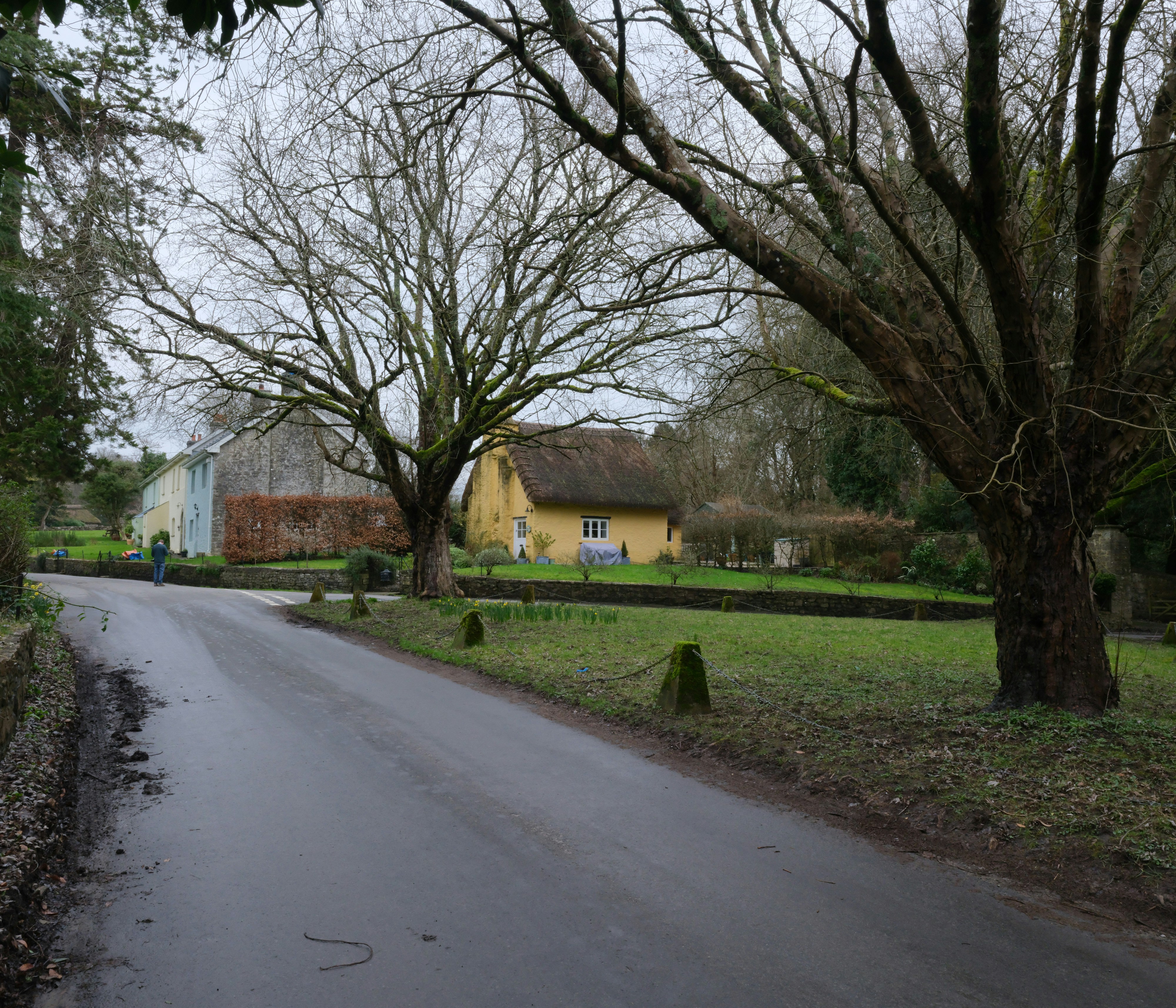 Photo by tanyabarrow