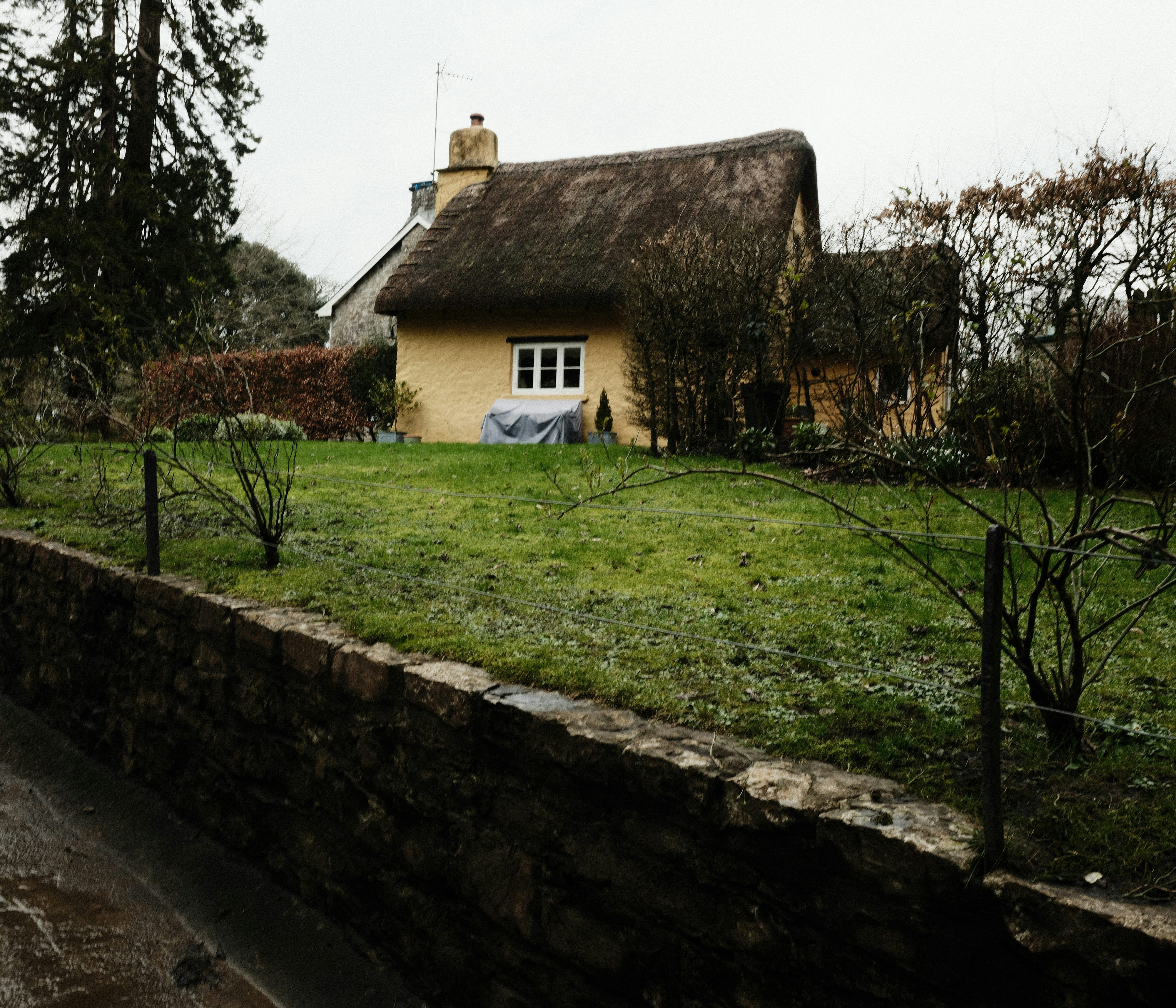 Photo by tanyabarrow