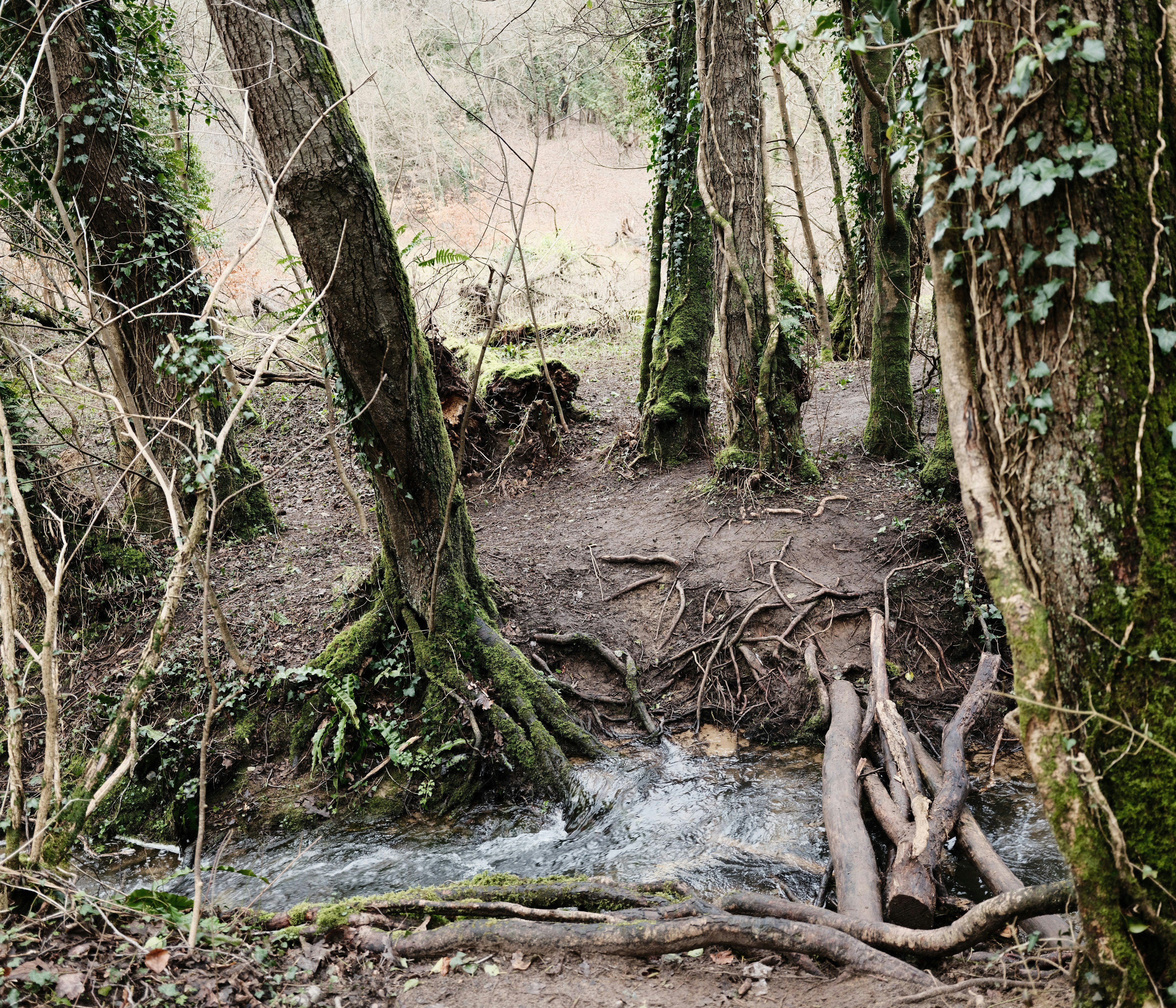 Merrel Medley Park