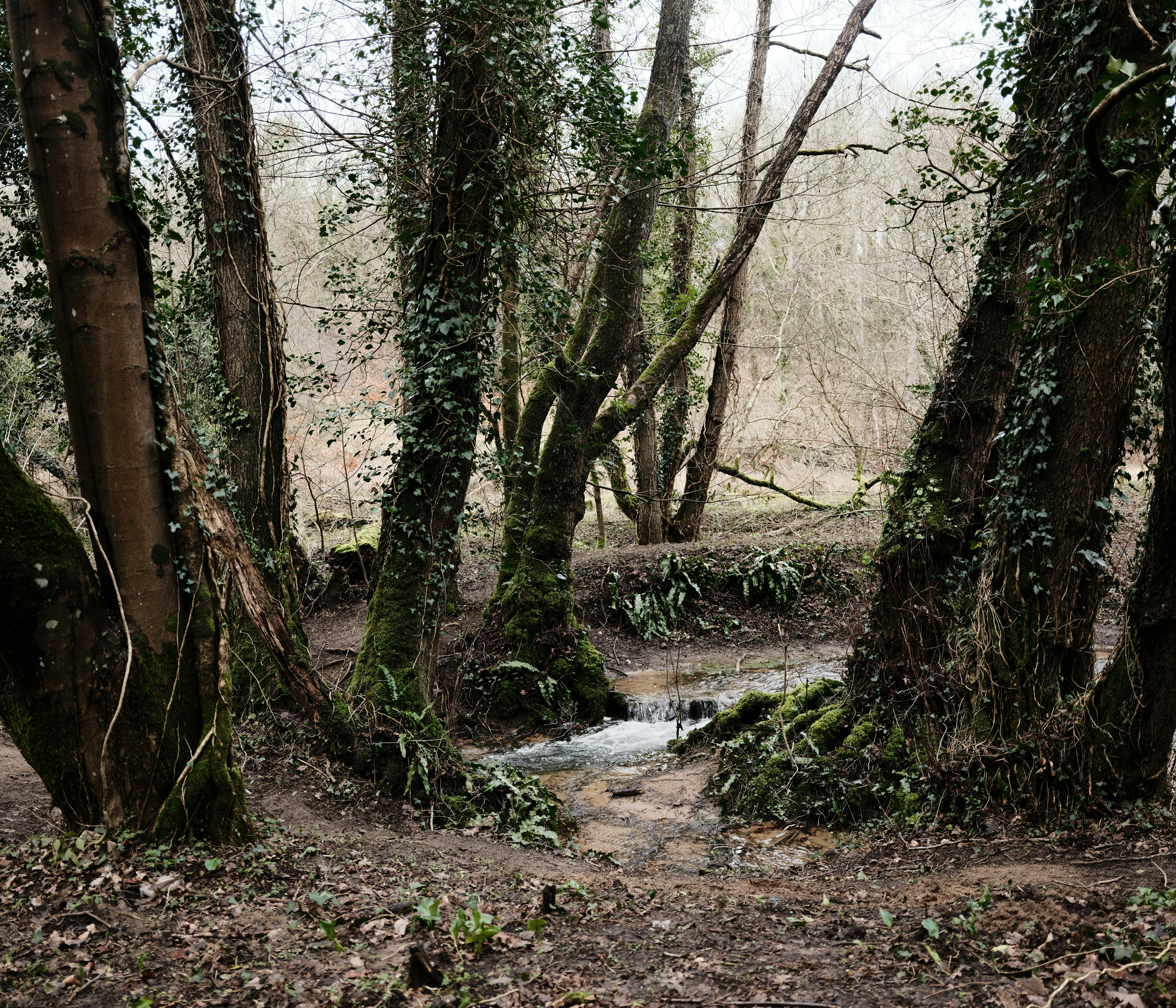 Photo by tanyabarrow