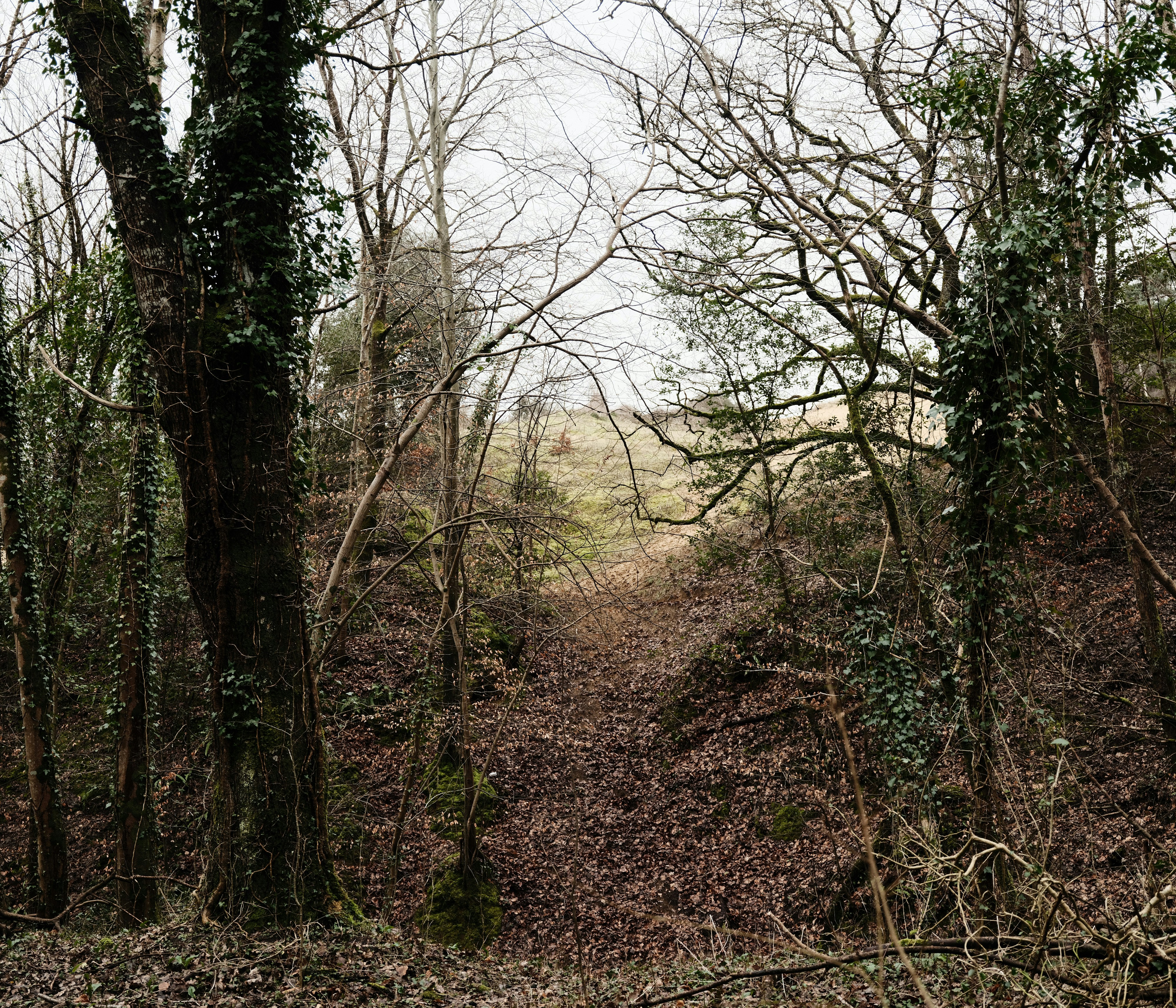 Photo by tanyabarrow