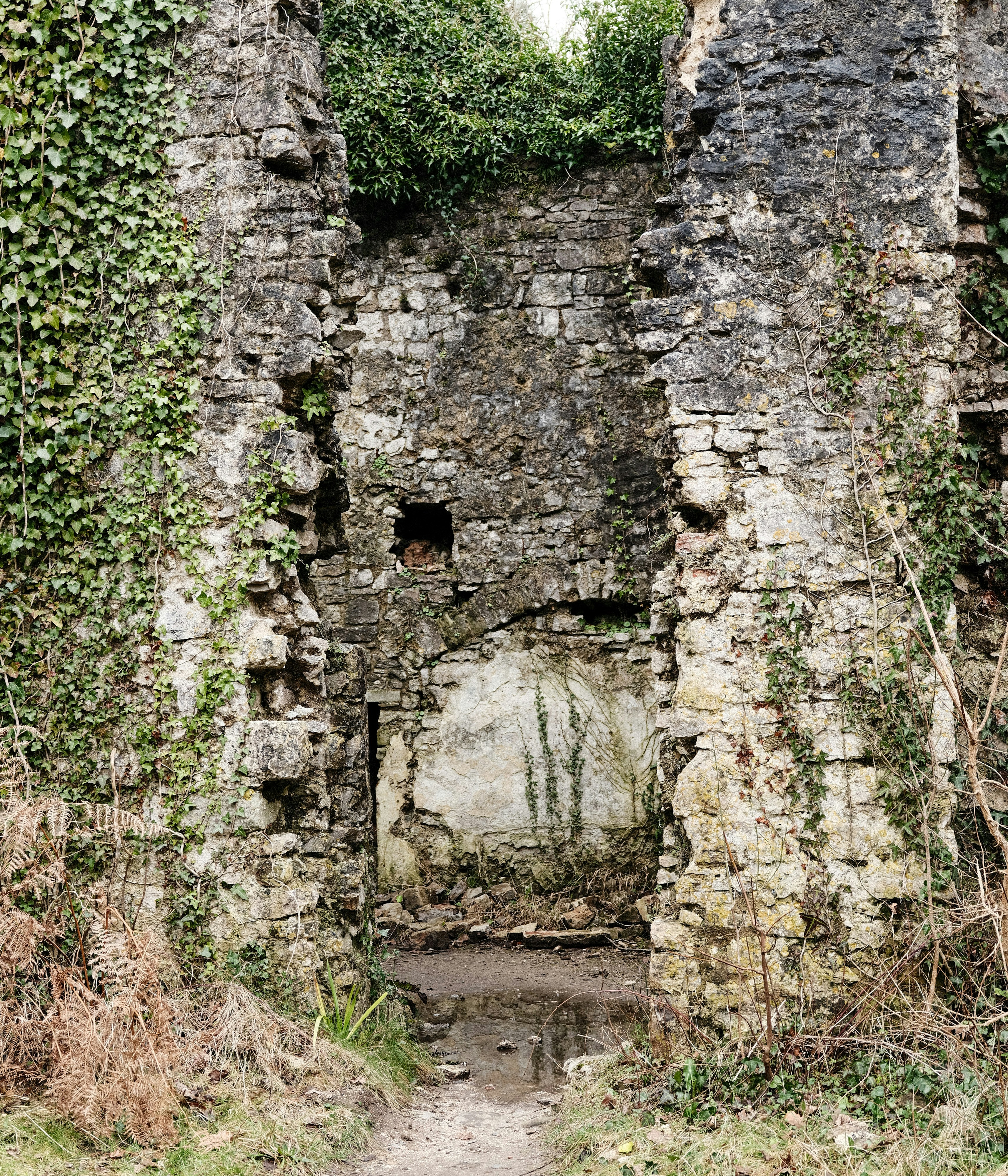 Photo by tanyabarrow