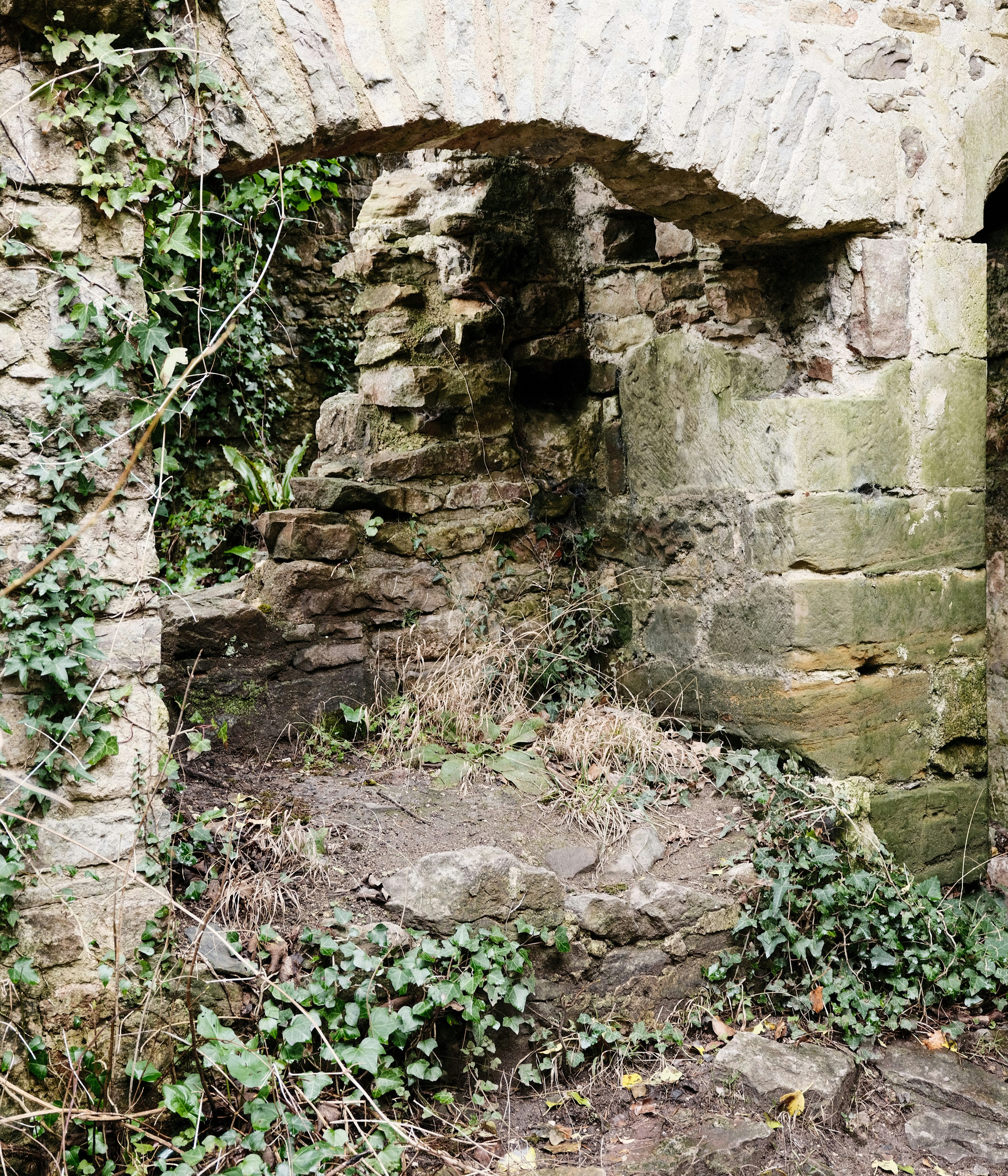 Photo by tanyabarrow