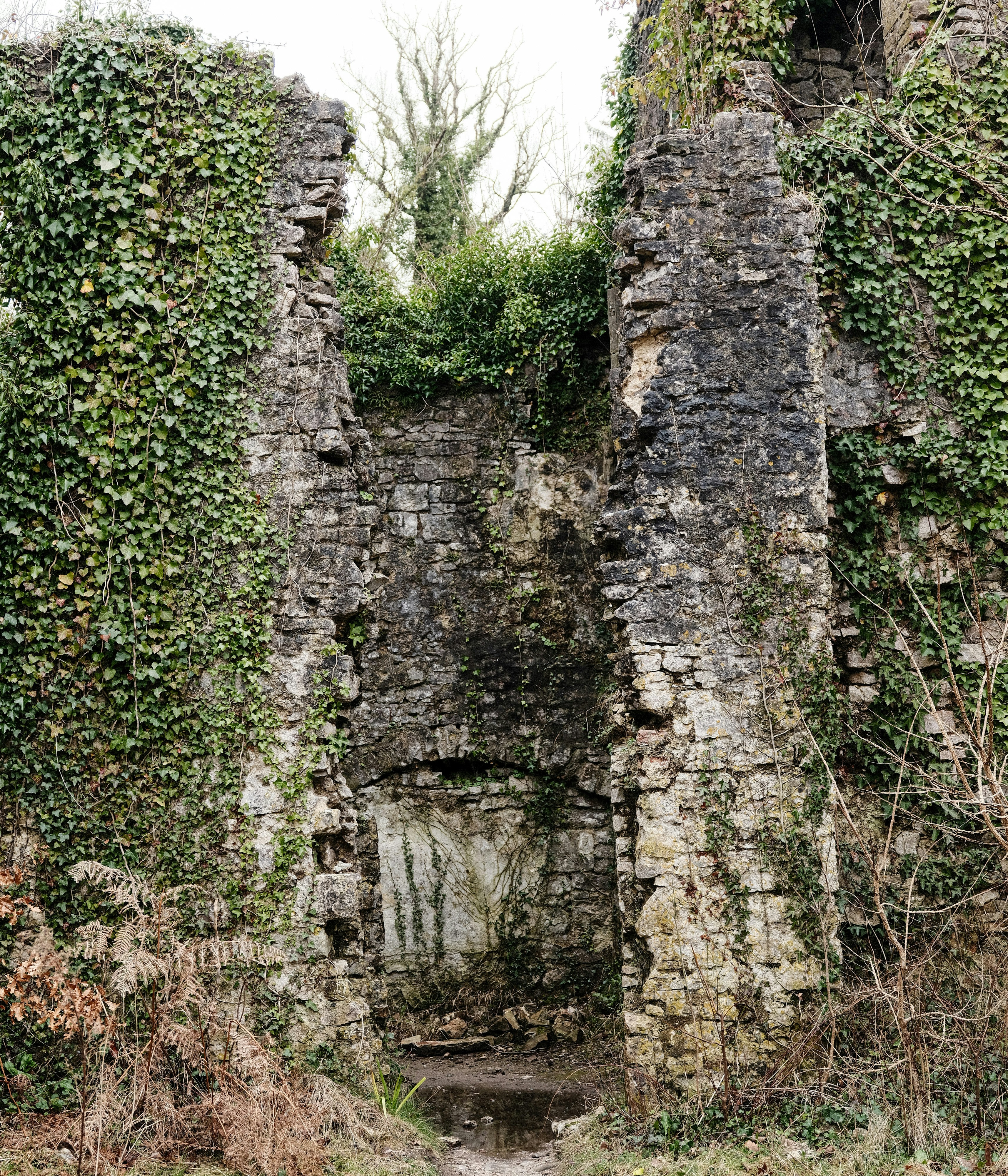 Photo by tanyabarrow